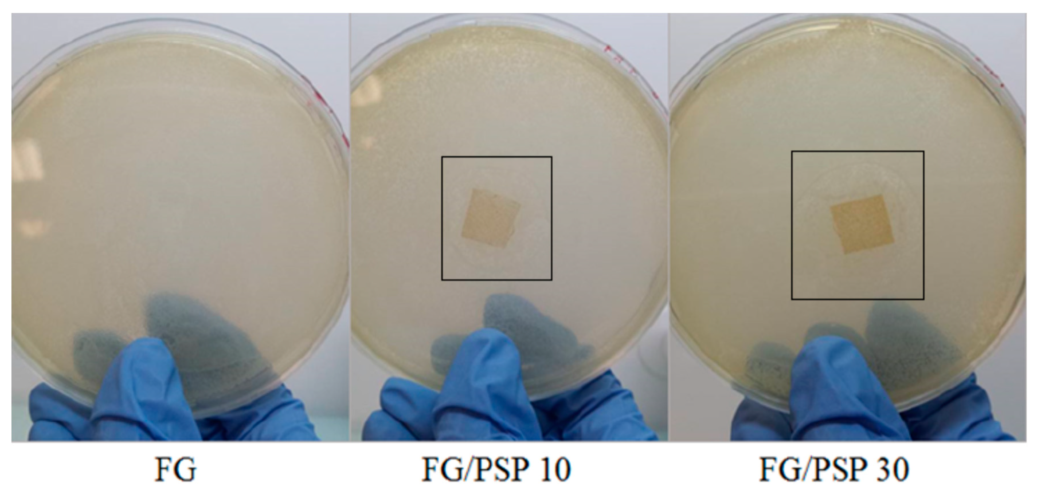 Molecules 25 00166 g004