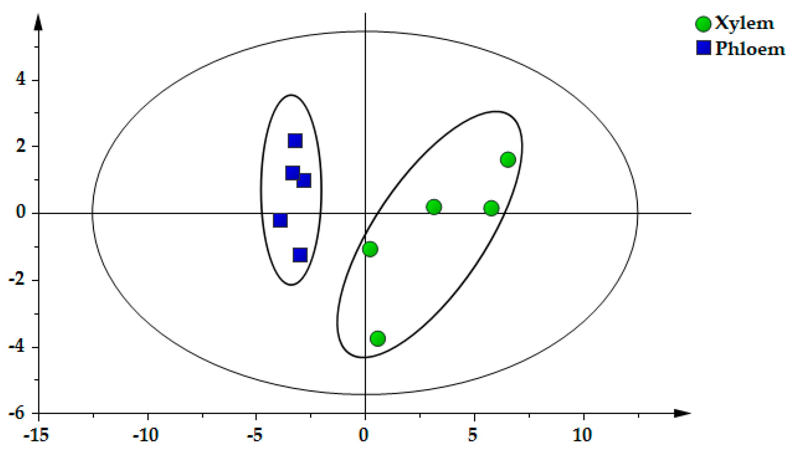 Molecules 25 00167 g004 Molecules 25 00167 g004