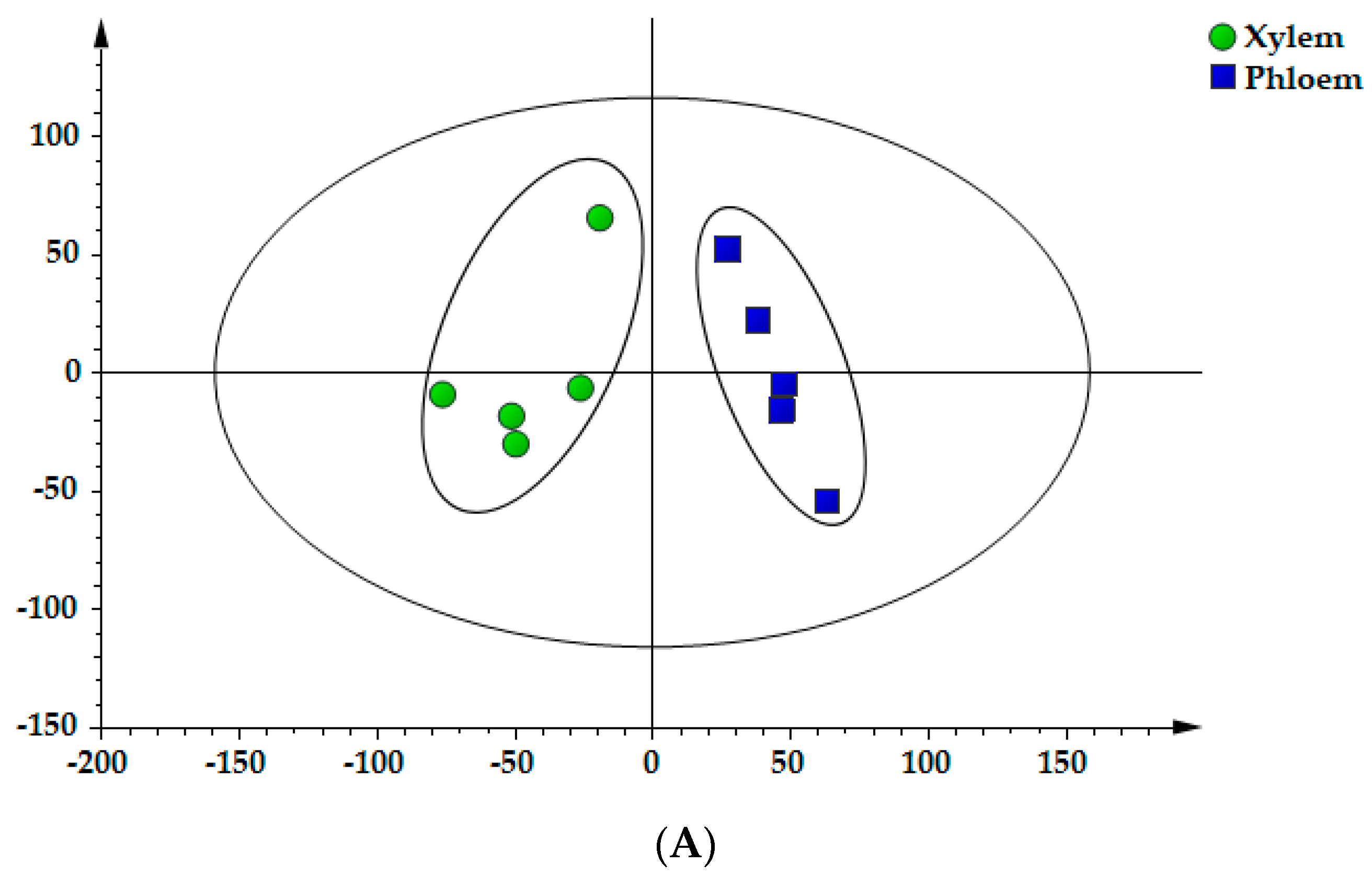 Molecules 25 00167 g005a Molecules 25 00167 g005a