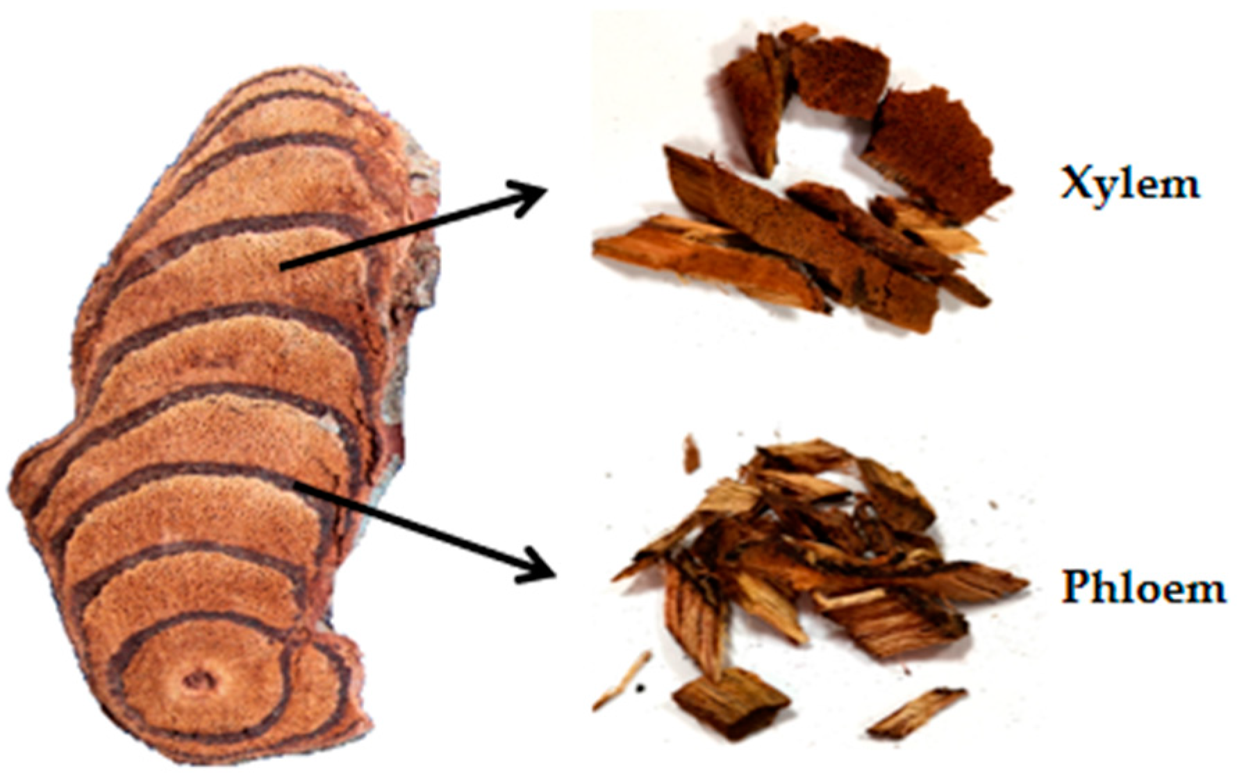 Molecules 25 00167 g007 Molecules 25 00167 g007