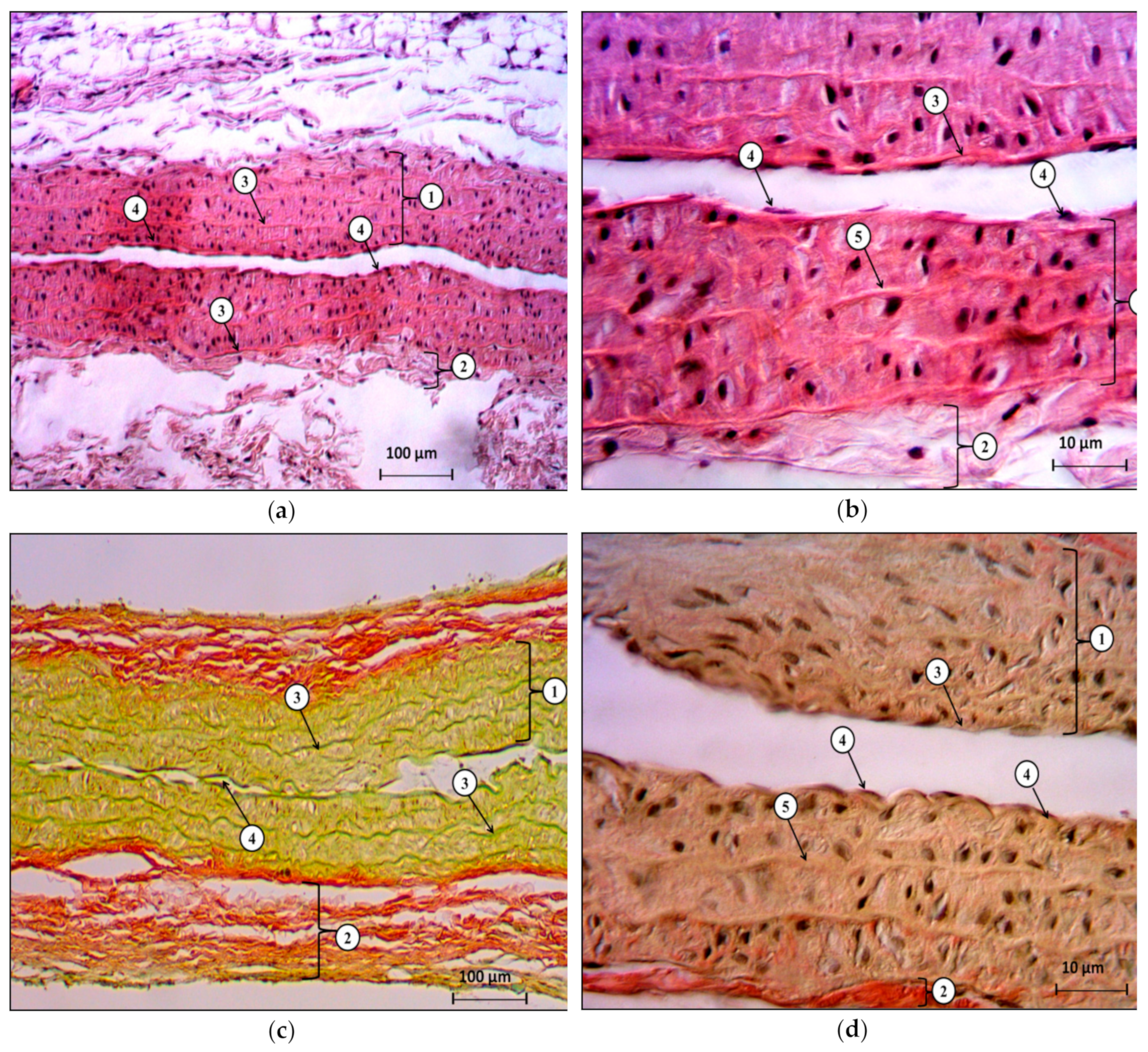 Molecules 25 00169 g003