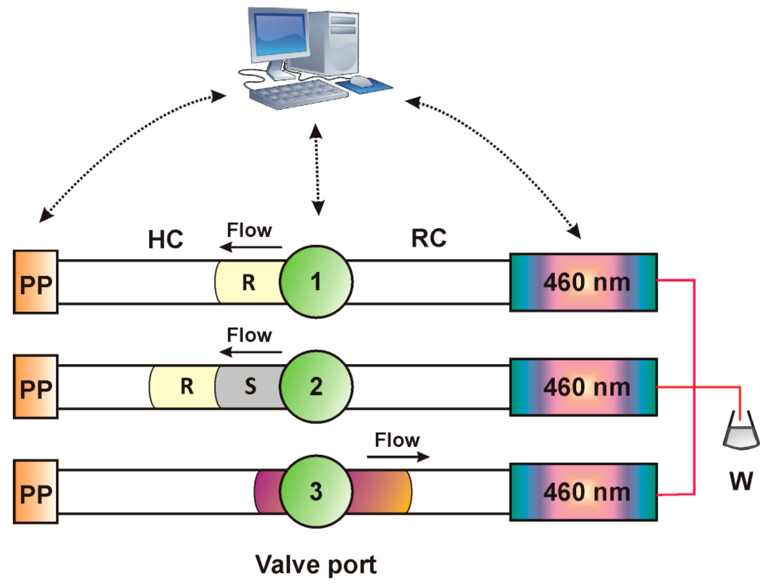 Molecules 25 00174 g003 Molecules 25 00174 g003