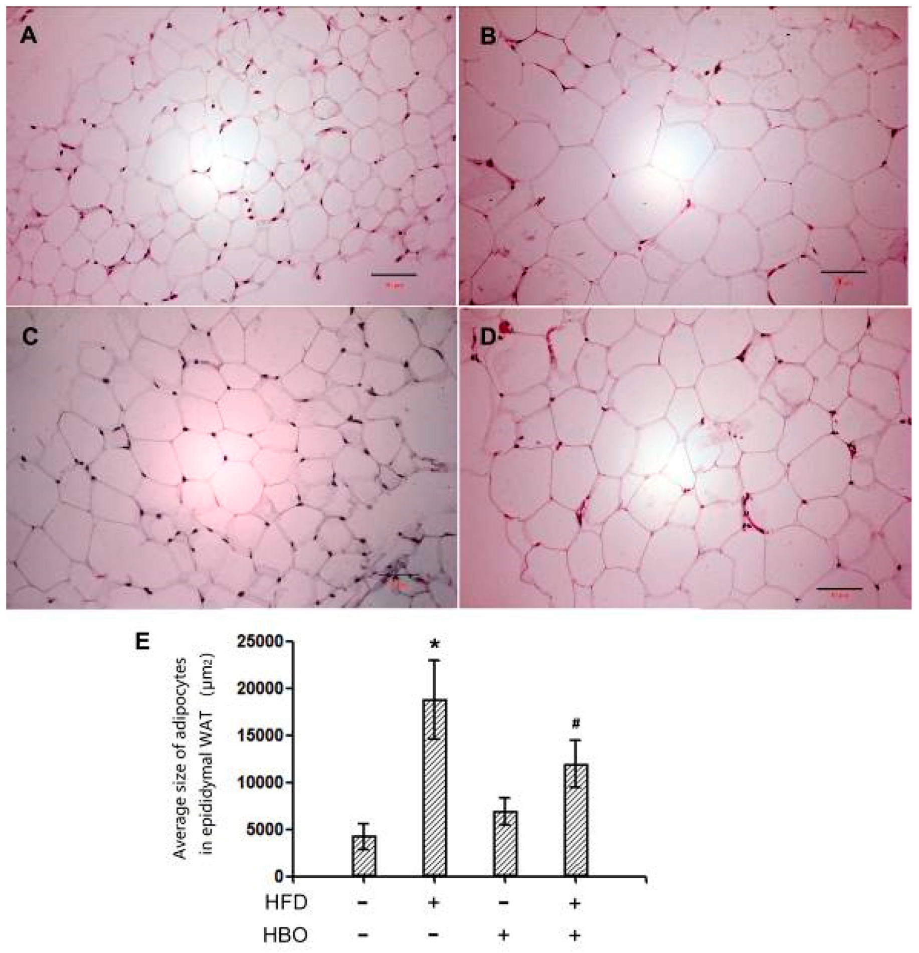 Molecules 25 00176 g002 Molecules 25 00176 g002