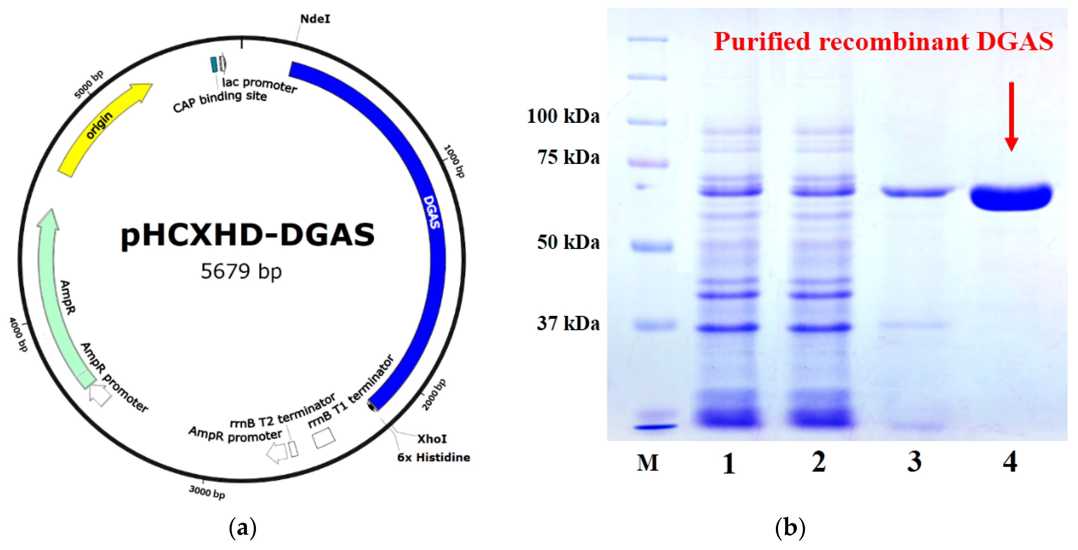 Molecules 25 00181 g001