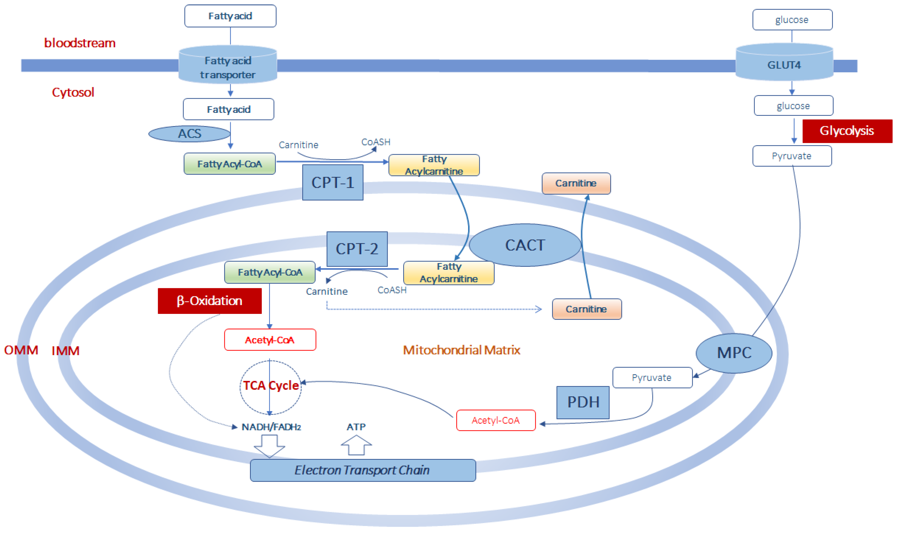Molecules 25 00182 g001 Molecules 25 00182 g001