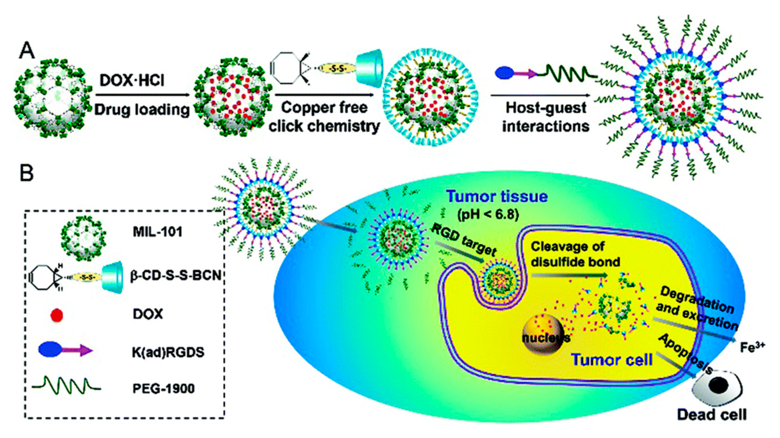 Molecules 25 00185 g005