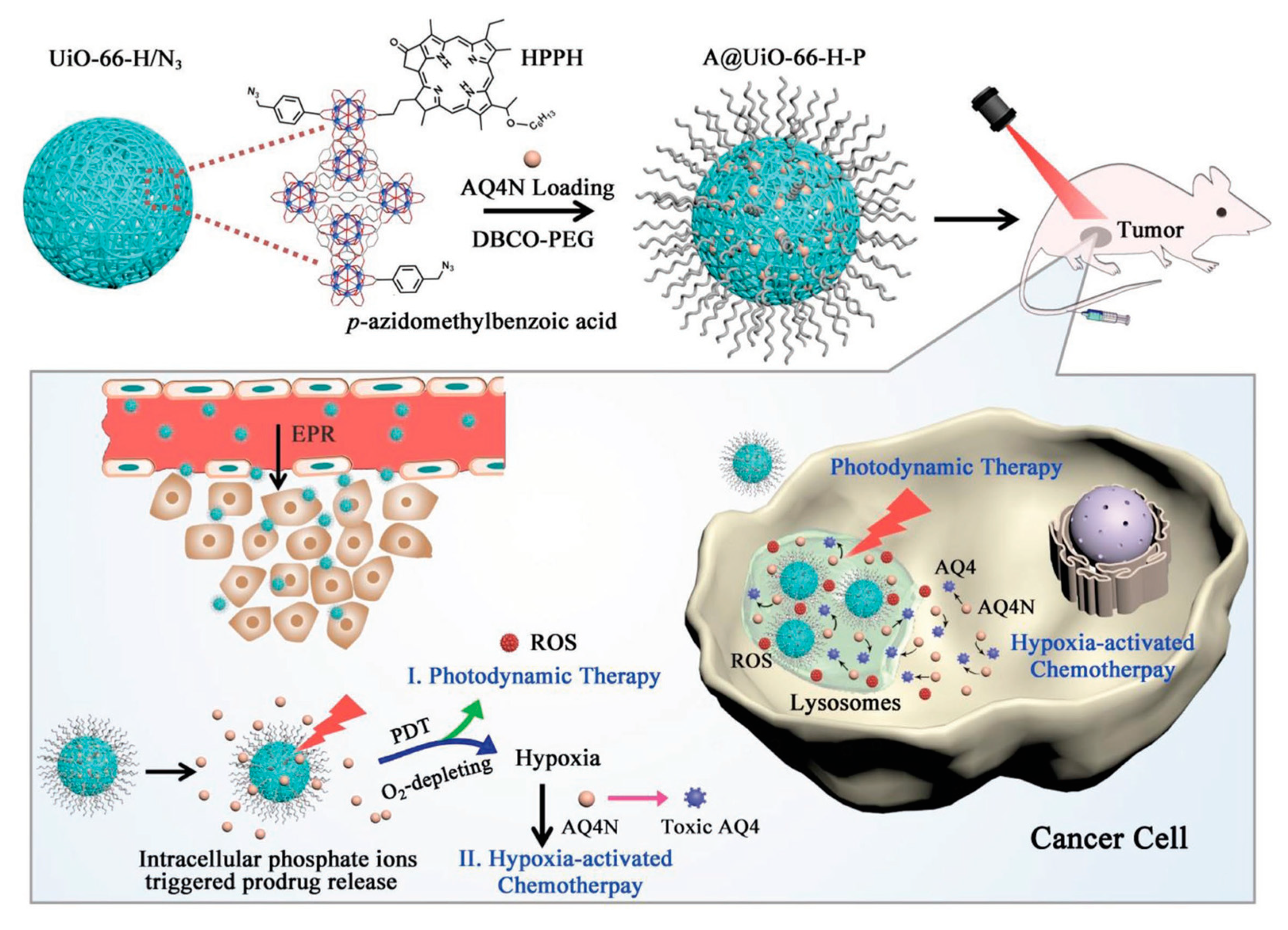 Molecules 25 00185 g007