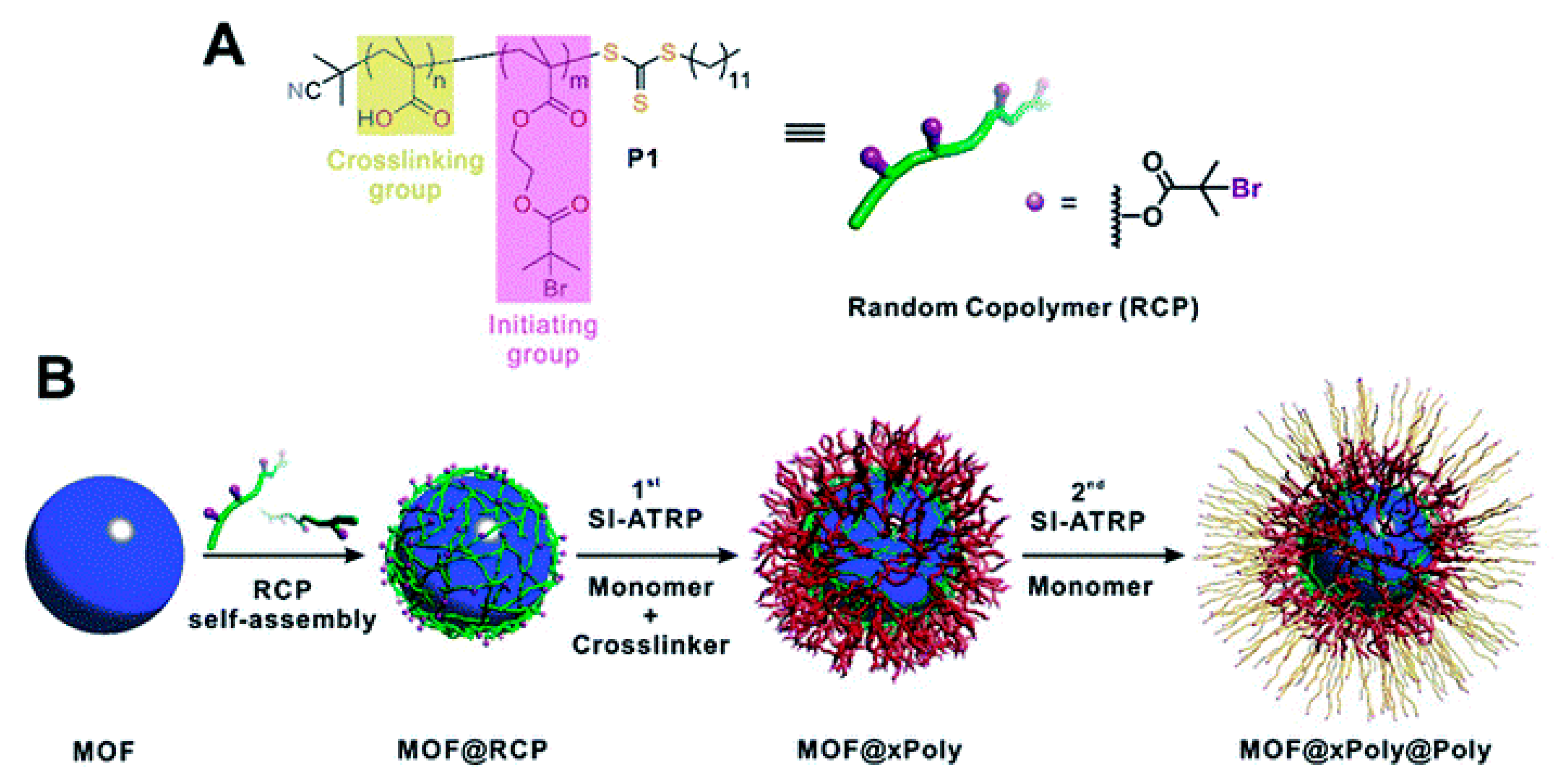 Molecules 25 00185 g008