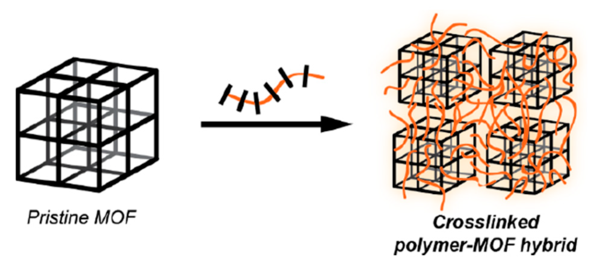 Molecules 25 00185 g010