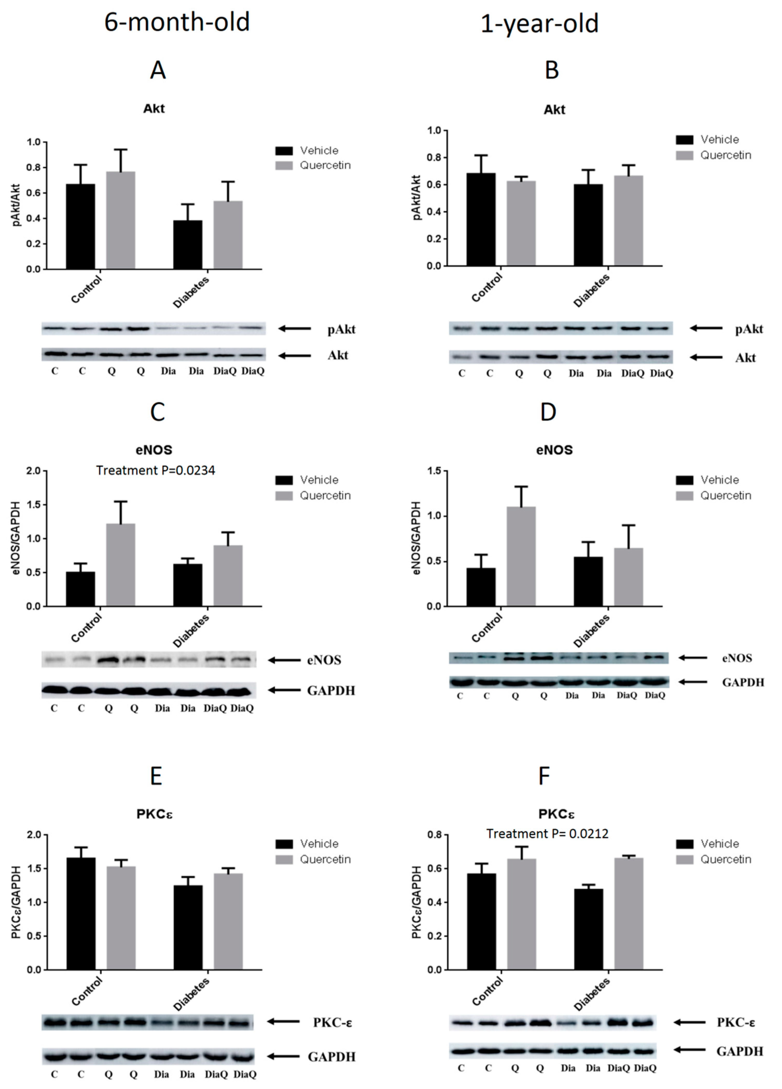 Molecules 25 00187 g006