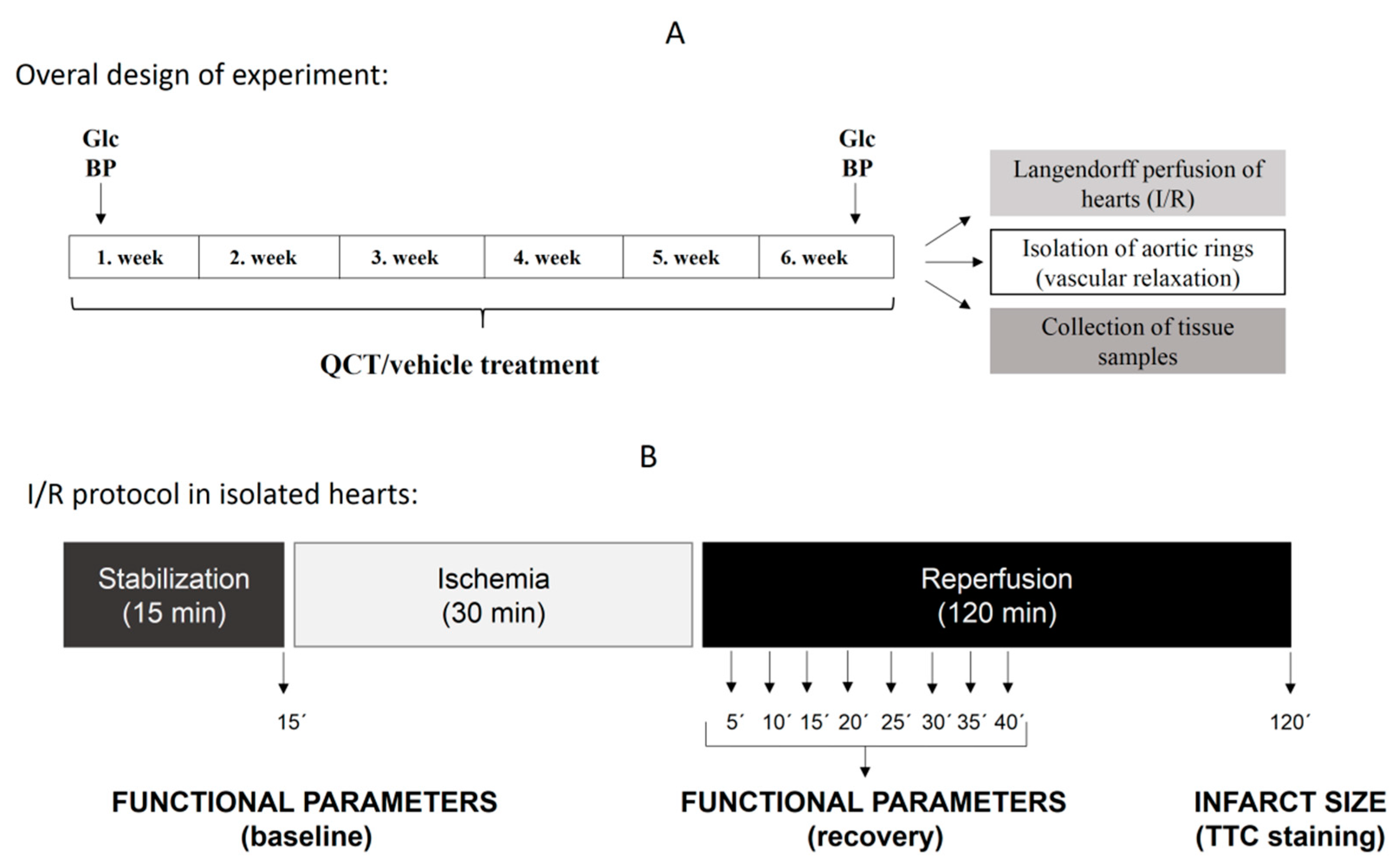 Molecules 25 00187 g008