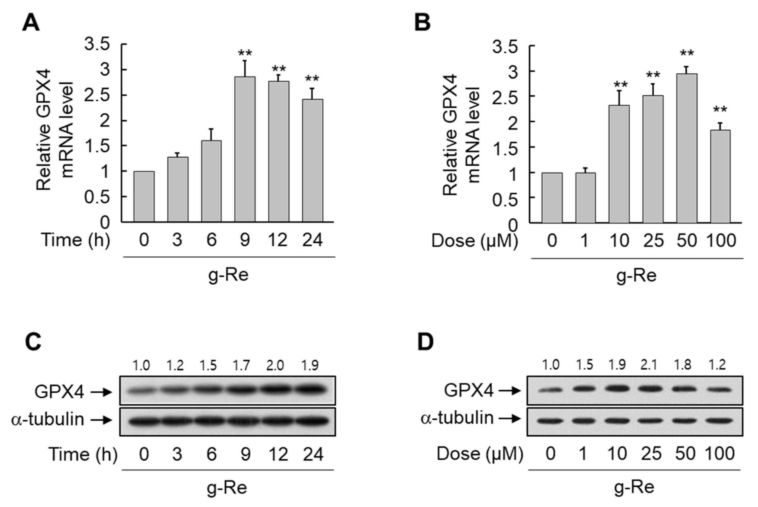 Molecules 25 00188 g005