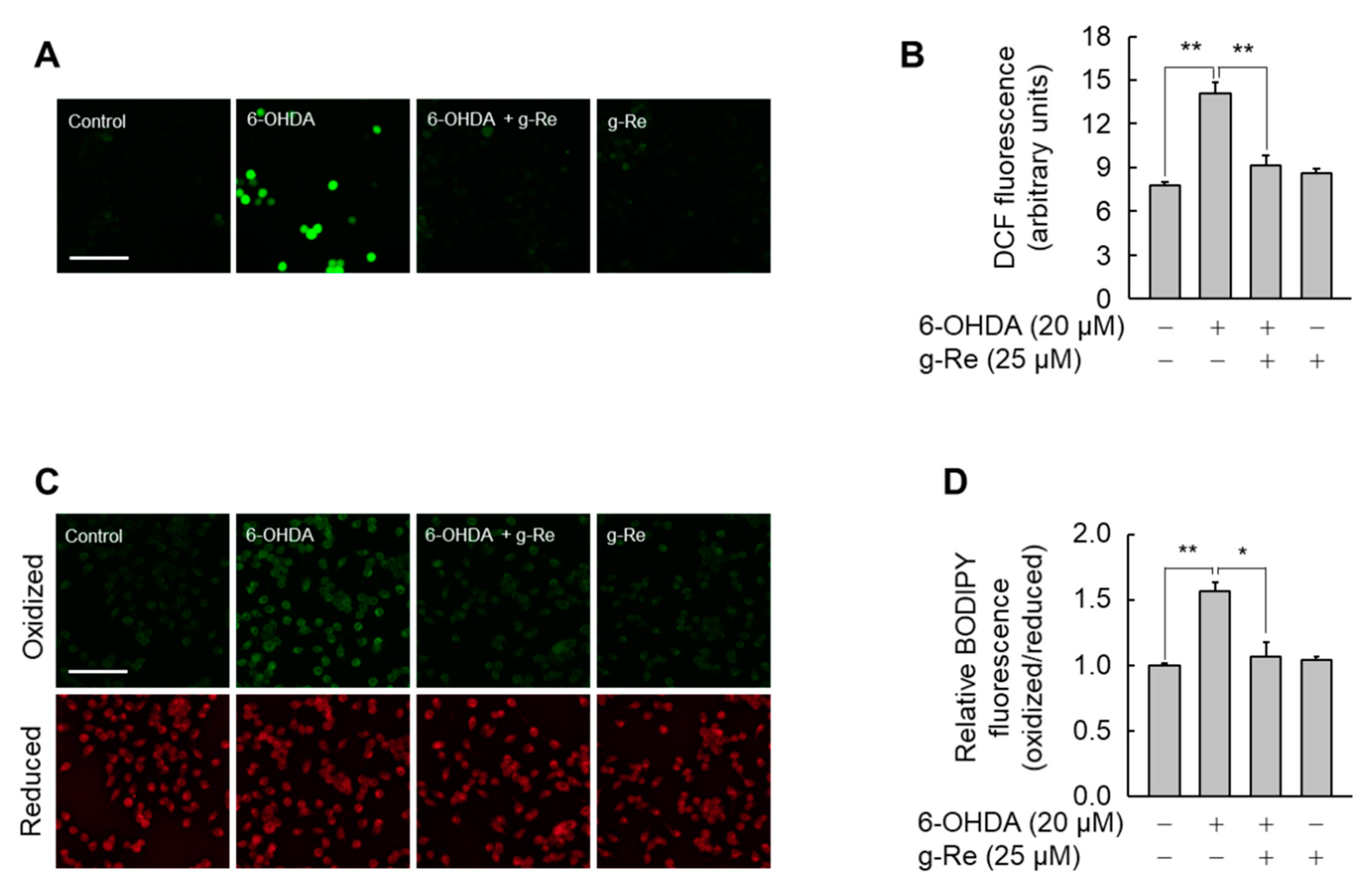 Molecules 25 00188 g006