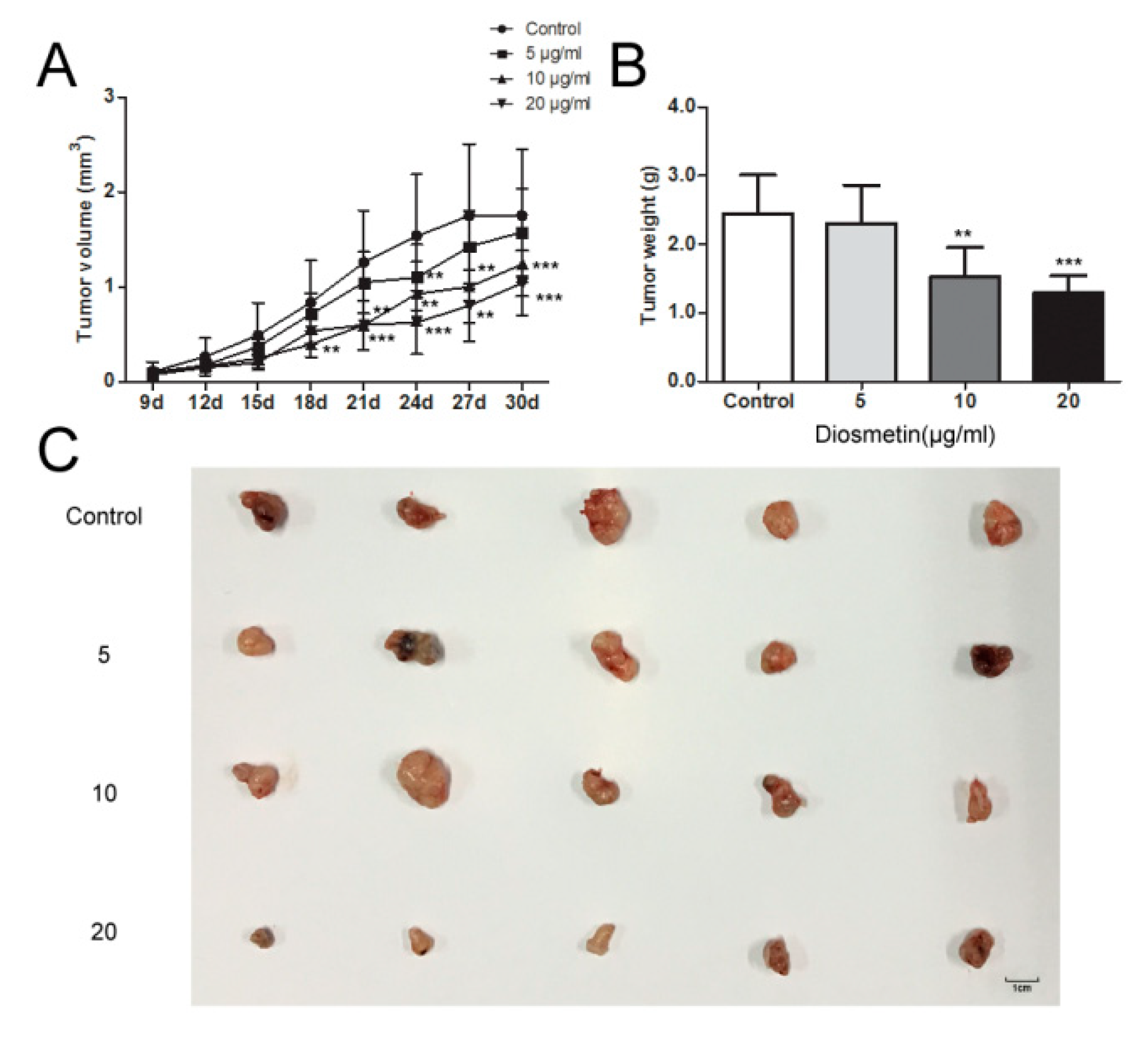 Molecules 25 00192 g005