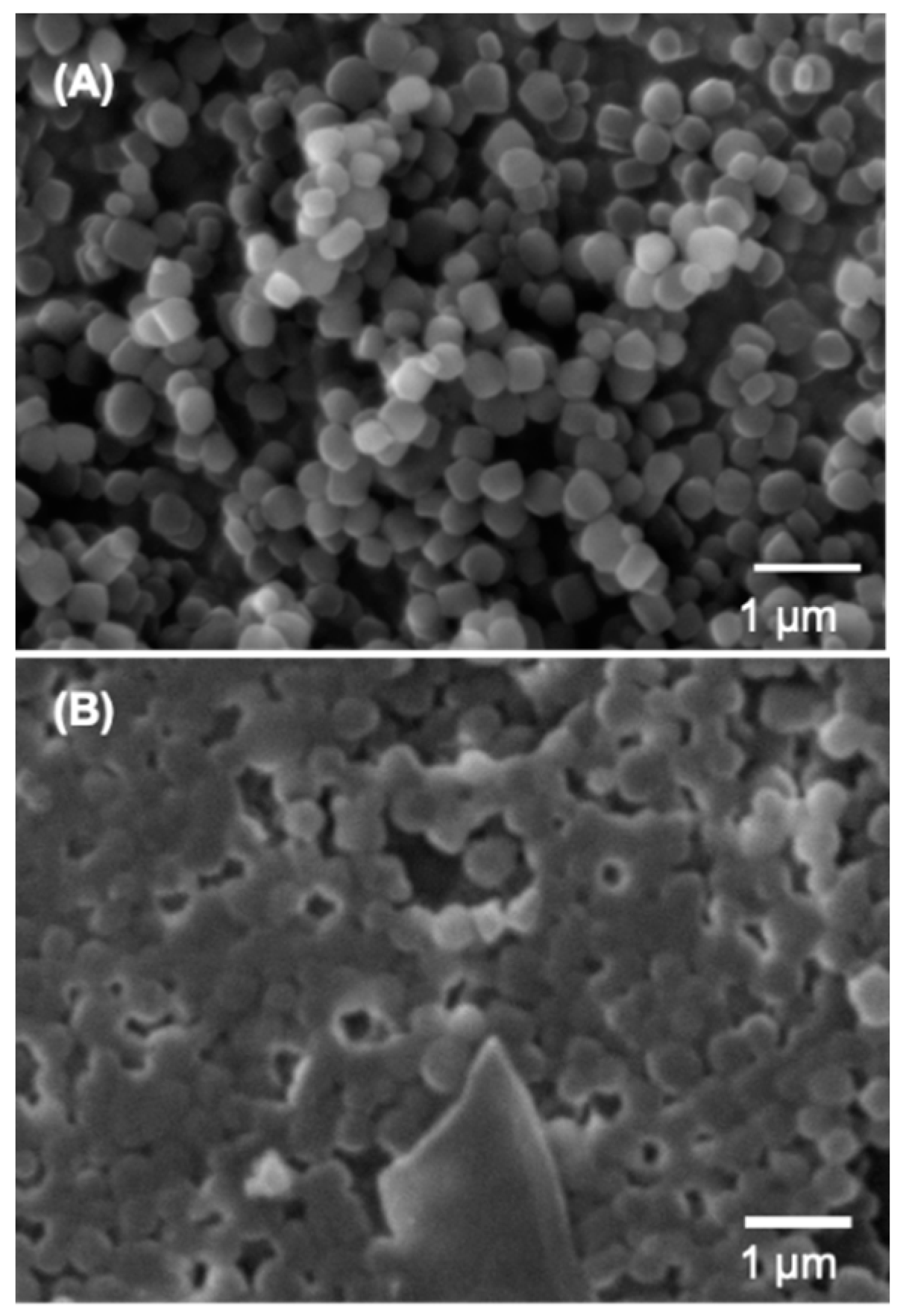 Molecules 25 00195 g001 Molecules 25 00195 g001