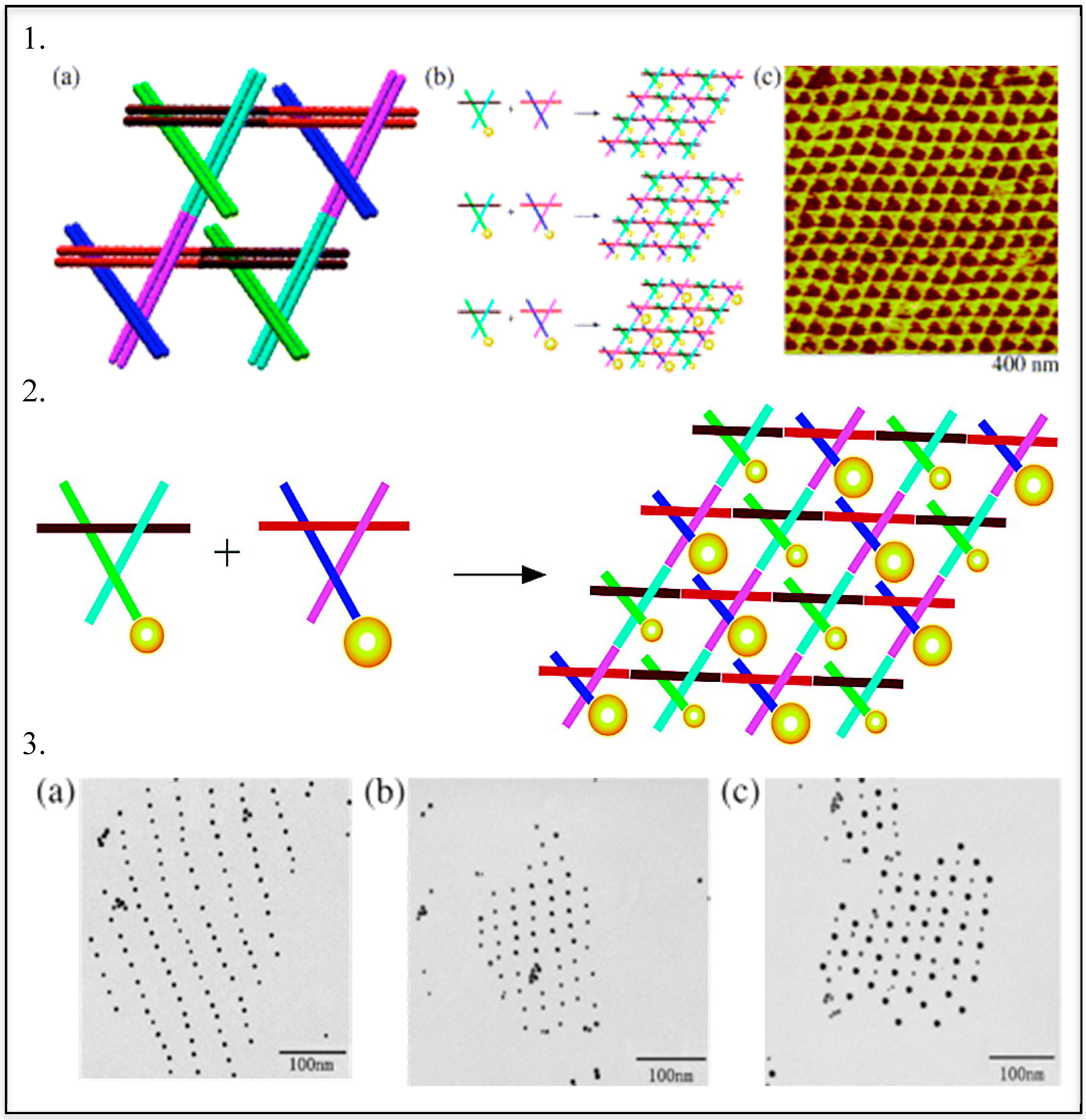 Molecules 25 00204 g003