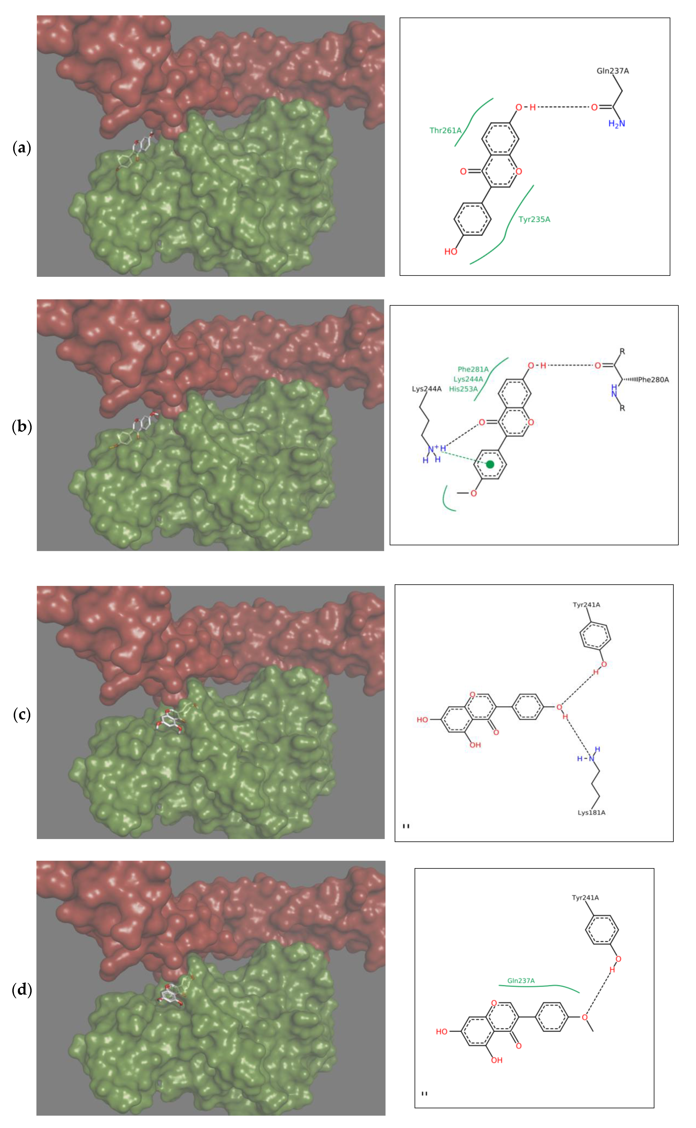 Molecules 25 00206 g002a