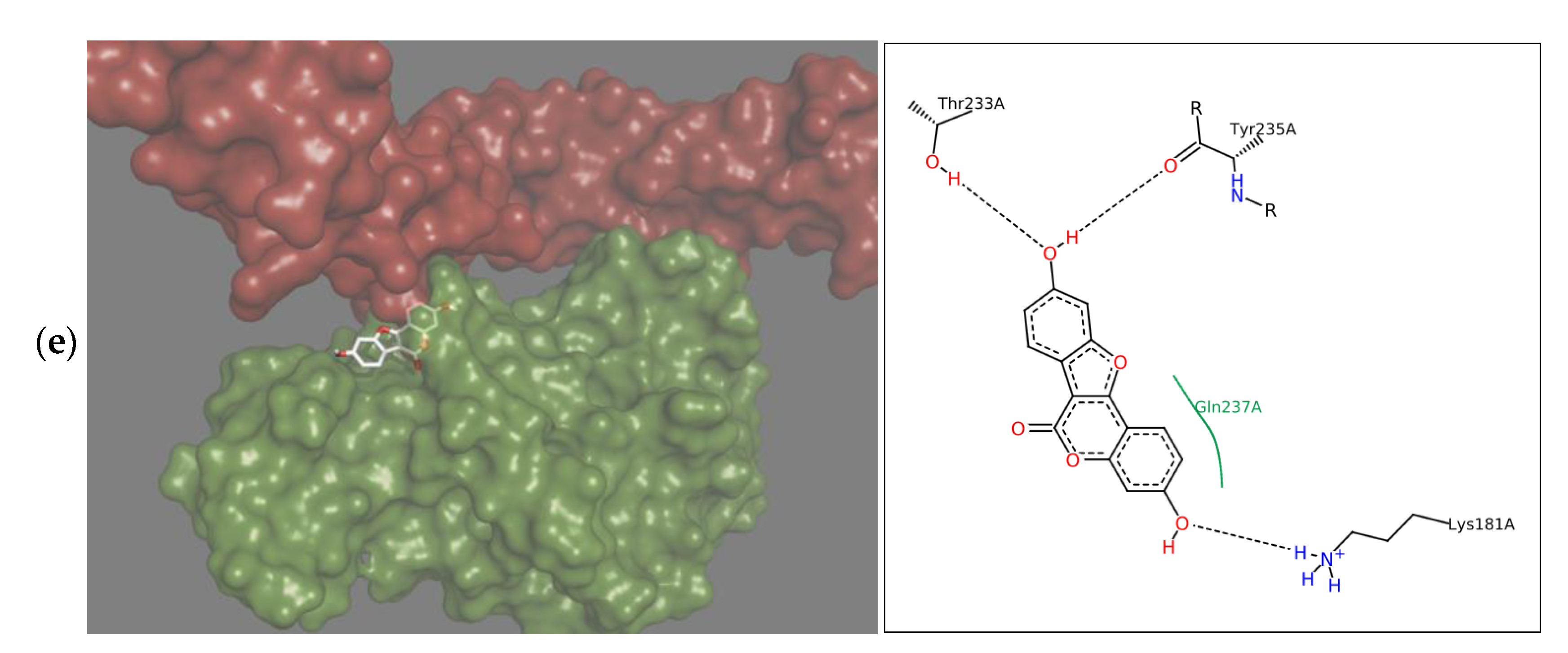 Molecules 25 00206 g002b