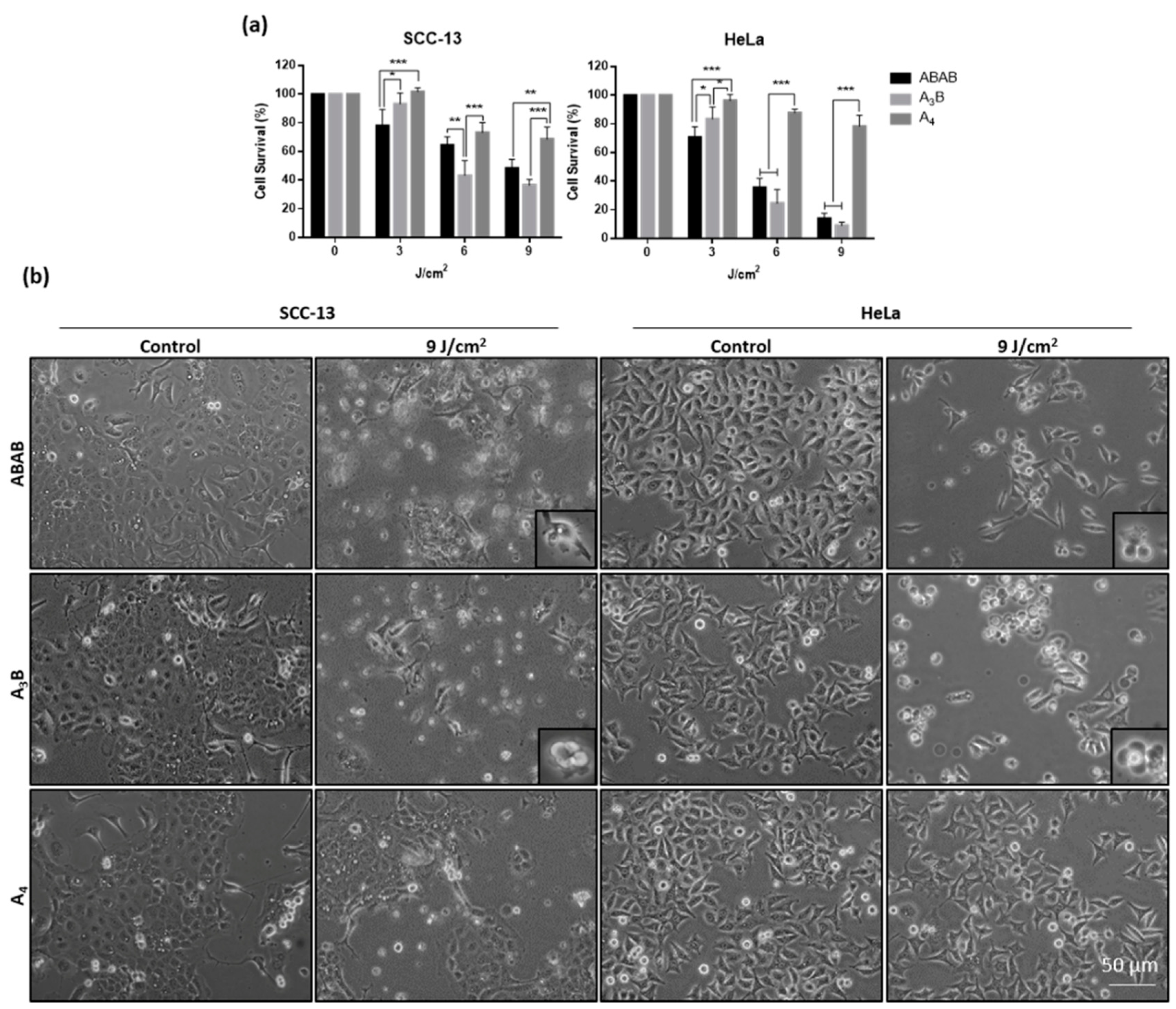 Molecules 25 00213 g004