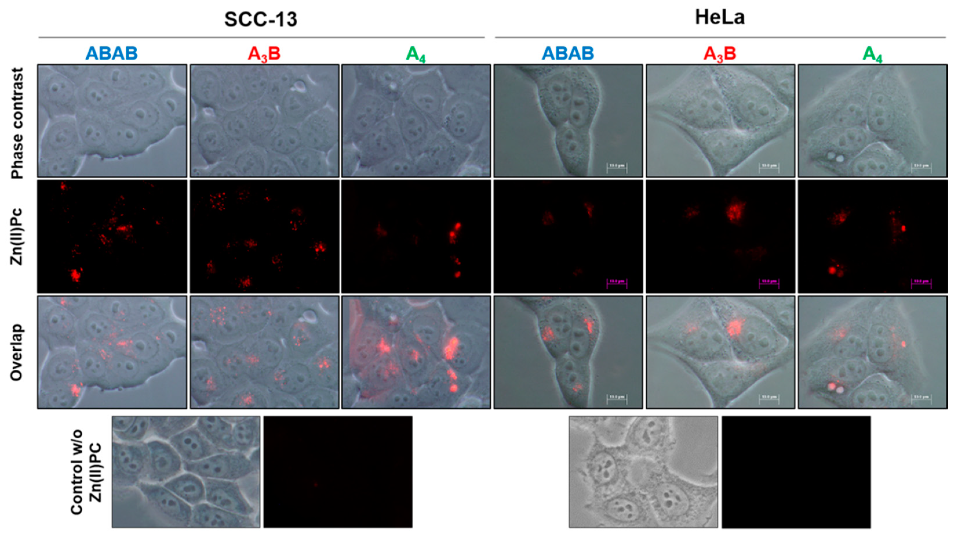 Molecules 25 00213 g005