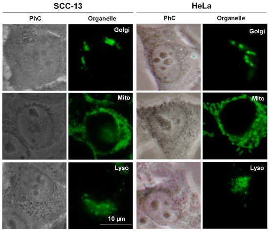 Molecules 25 00213 g0a1