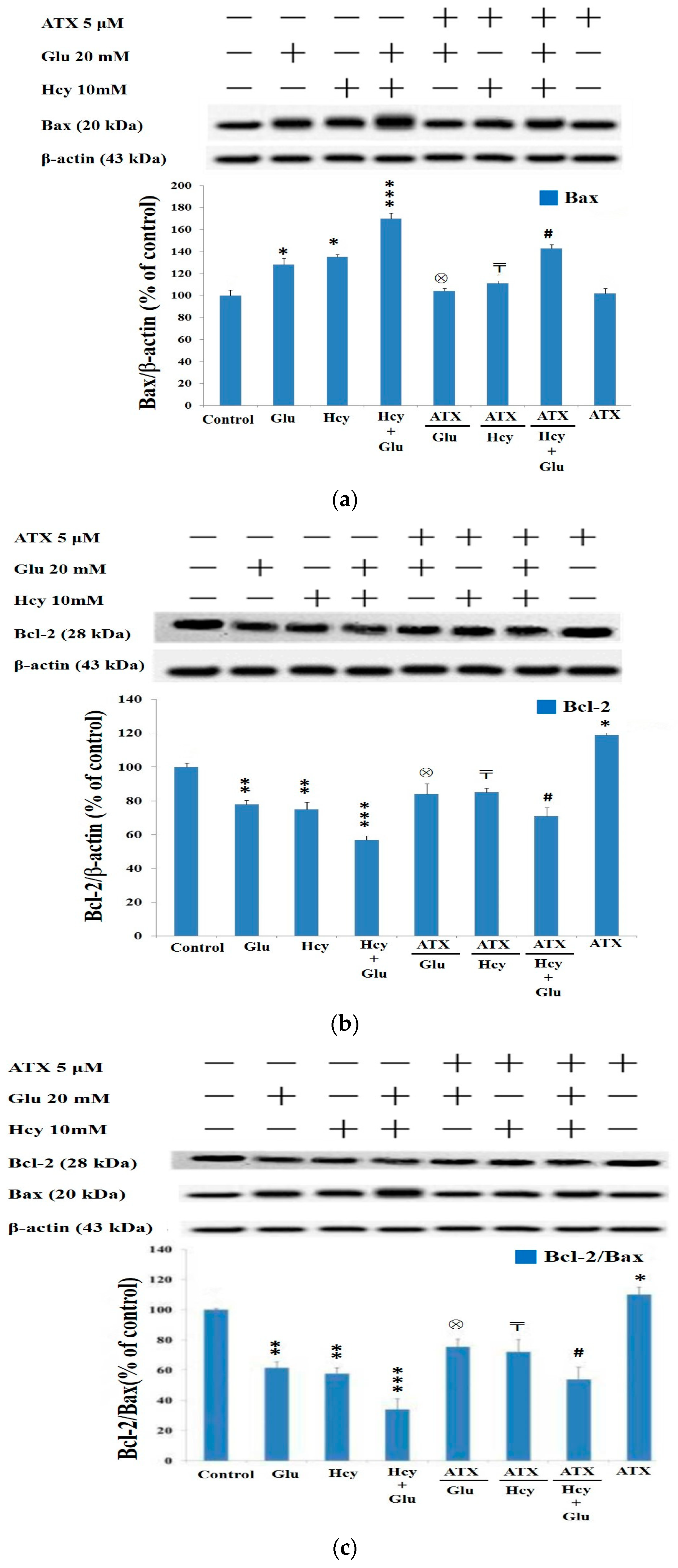 Molecules 25 00214 g004
