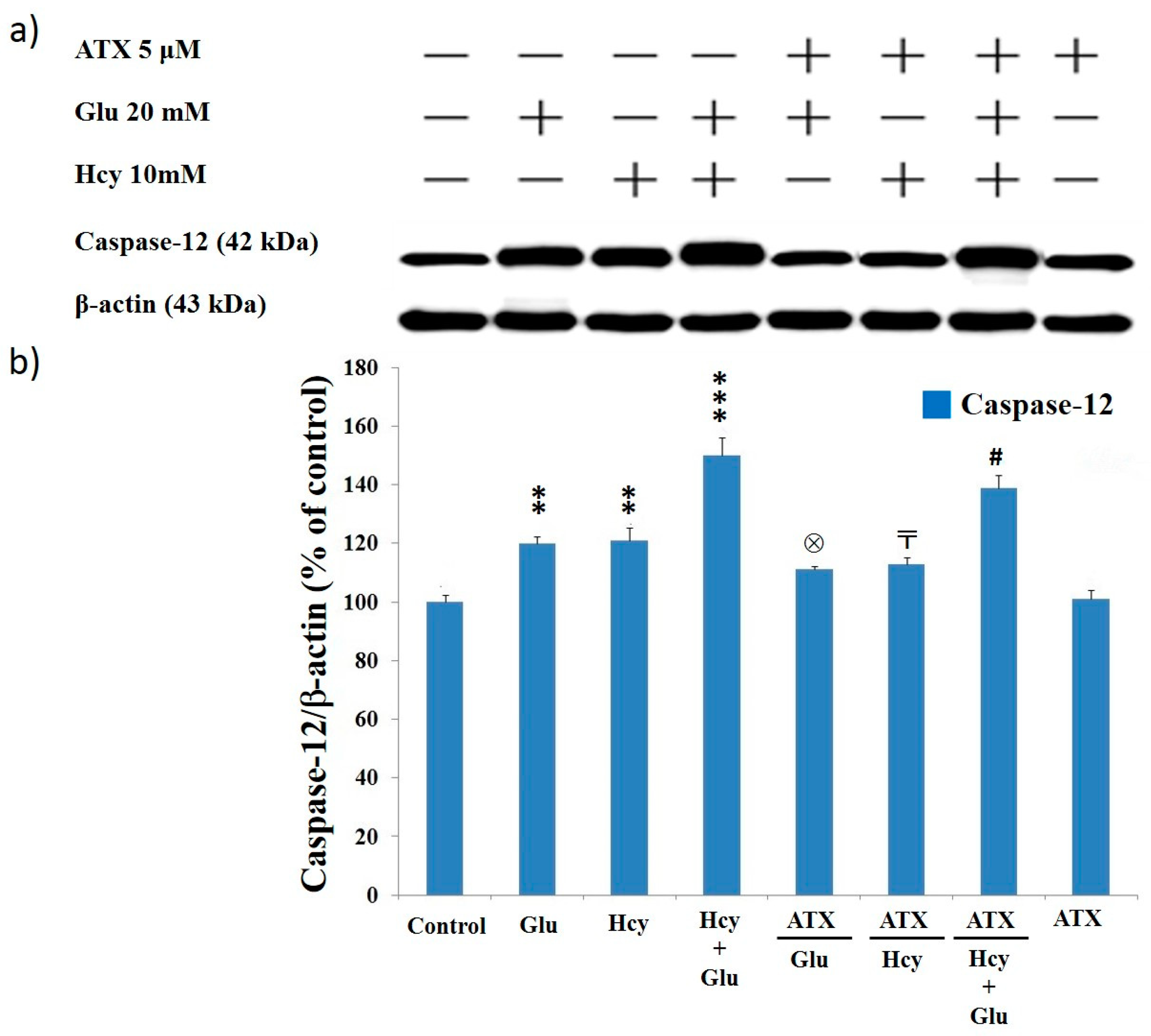 Molecules 25 00214 g005