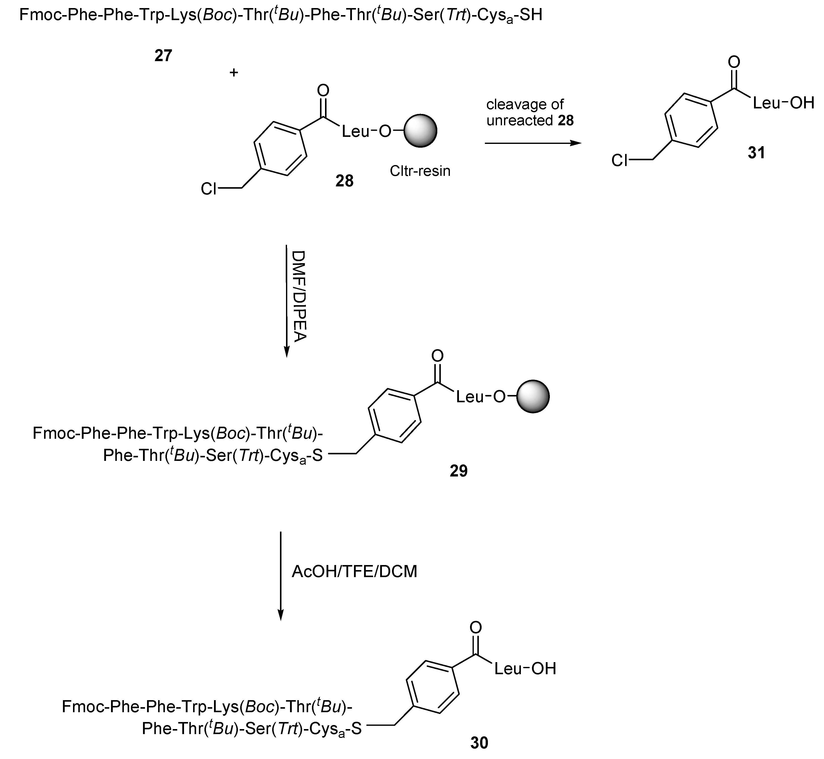 Molecules 25 00218 sch005
