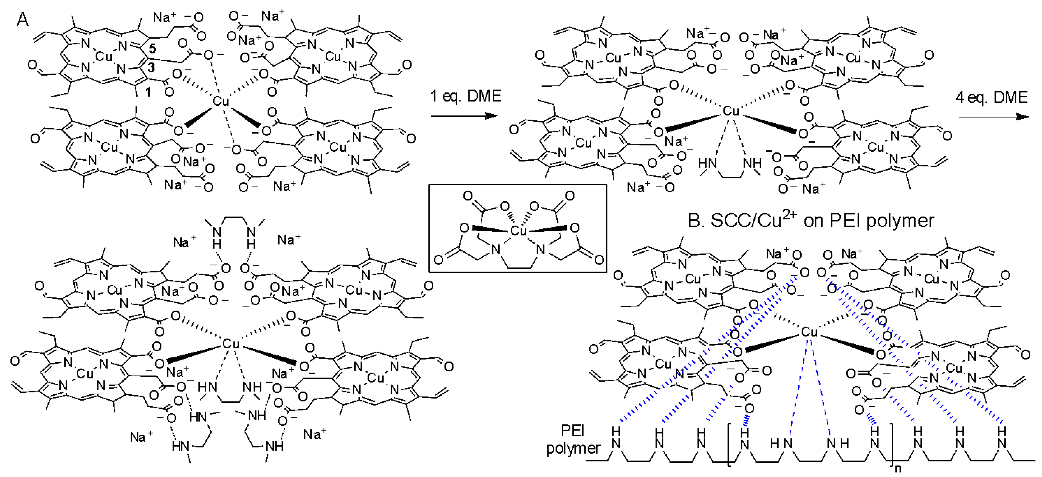 Molecules 25 00219 g004