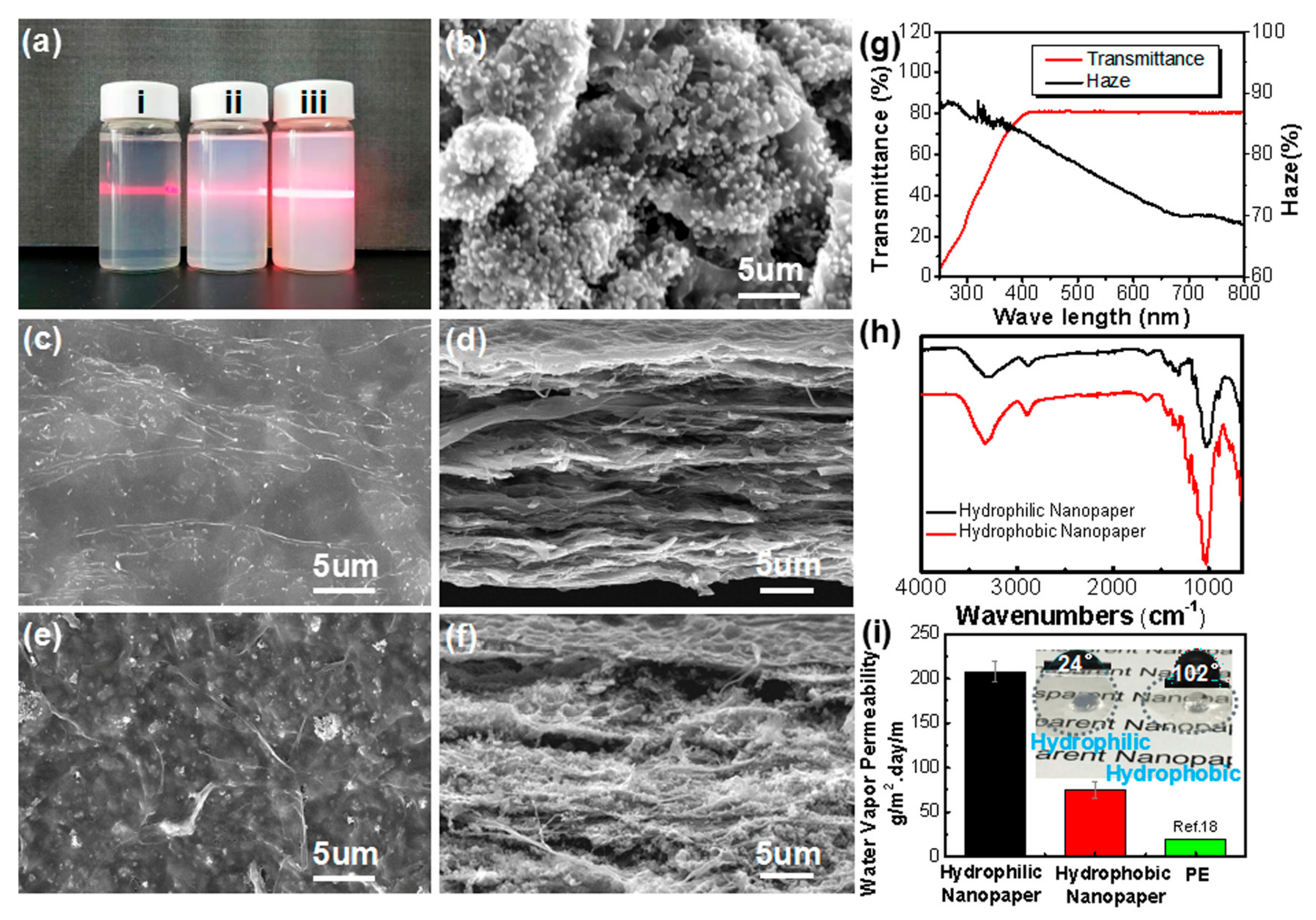 Molecules 25 00227 g004 Molecules 25 00227 g004