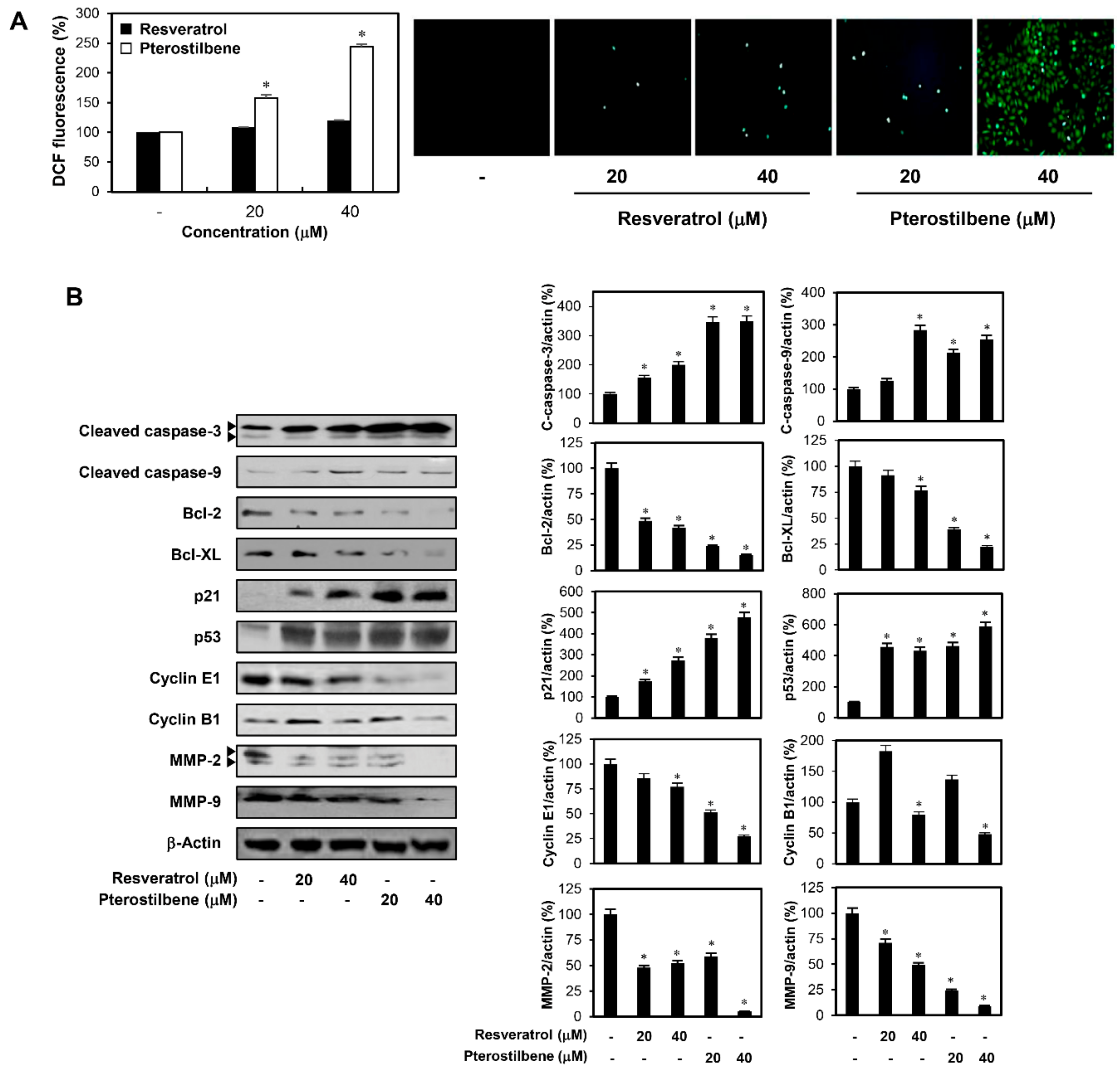 Molecules 25 00228 g005