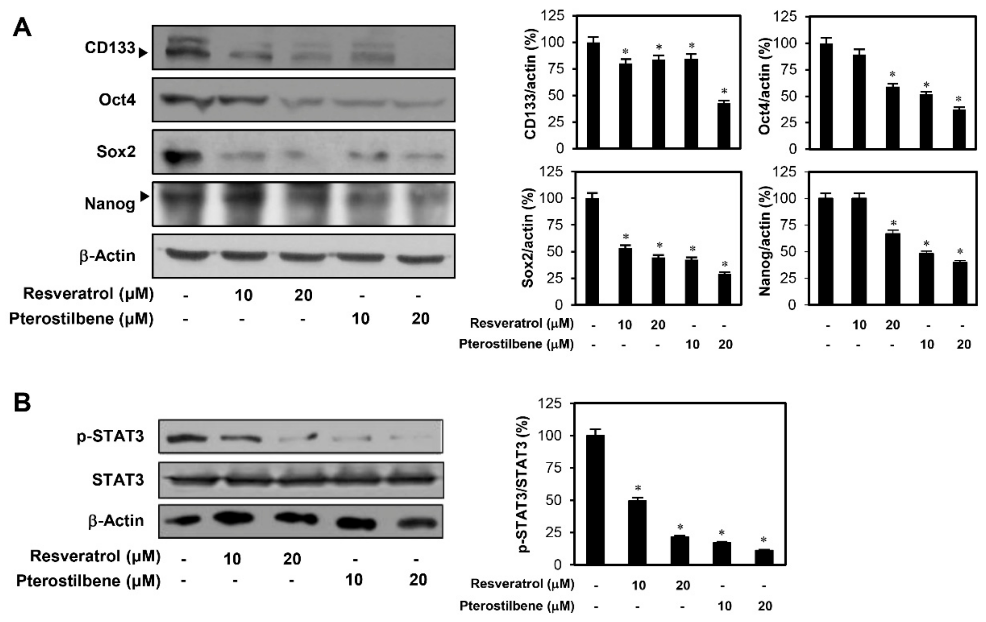 Molecules 25 00228 g008