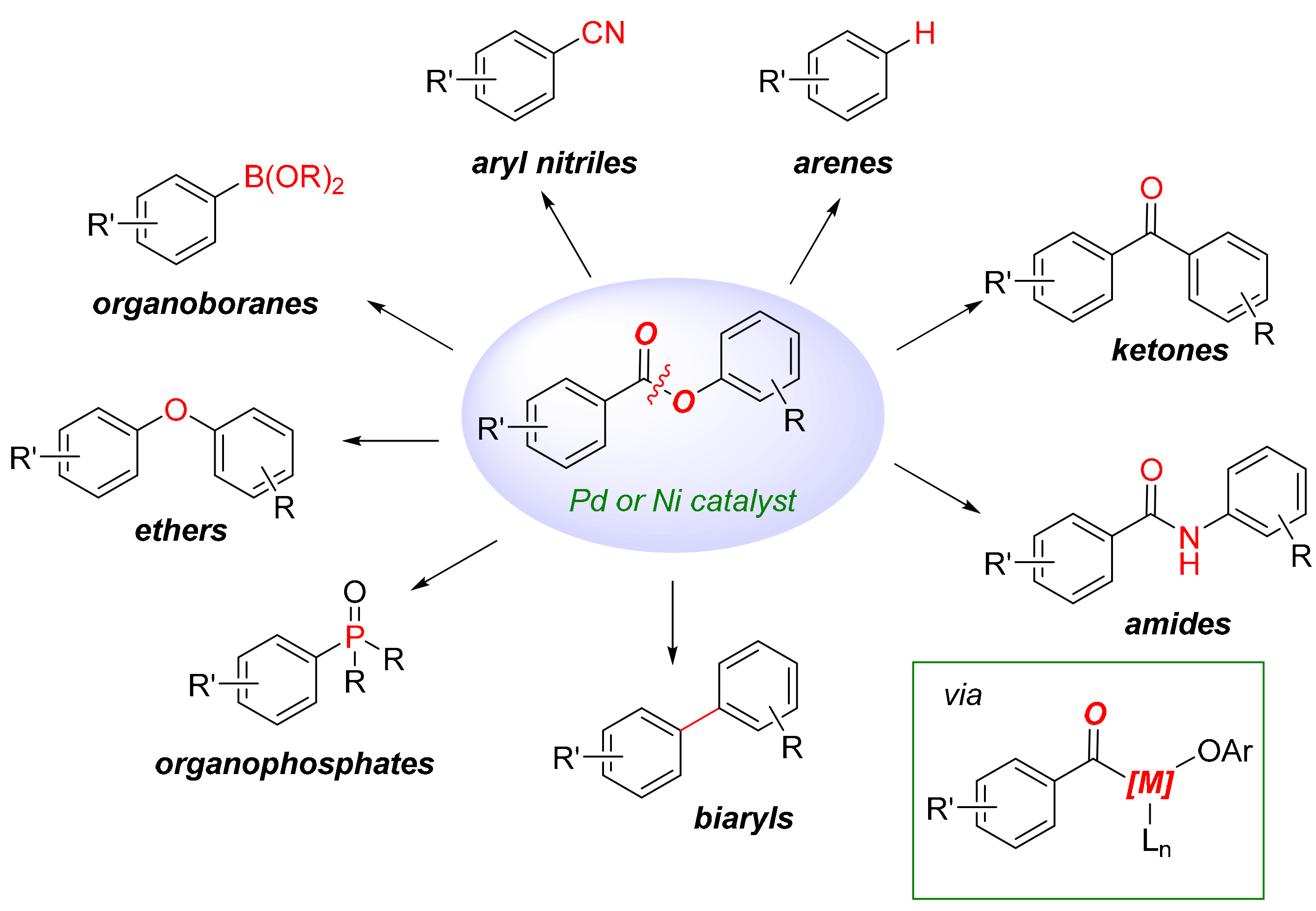Molecules 25 00230 sch002