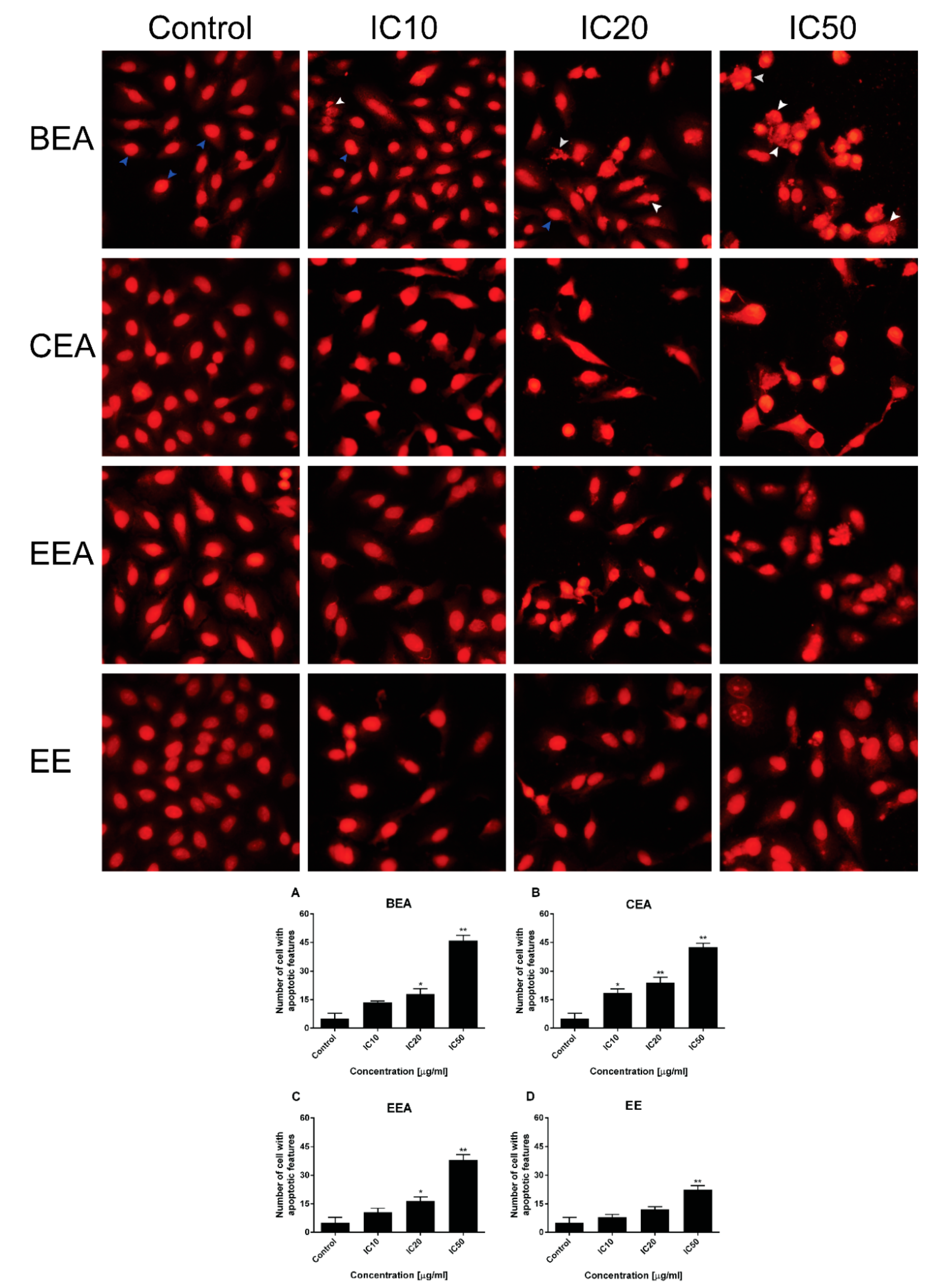 Molecules 25 00231 g005