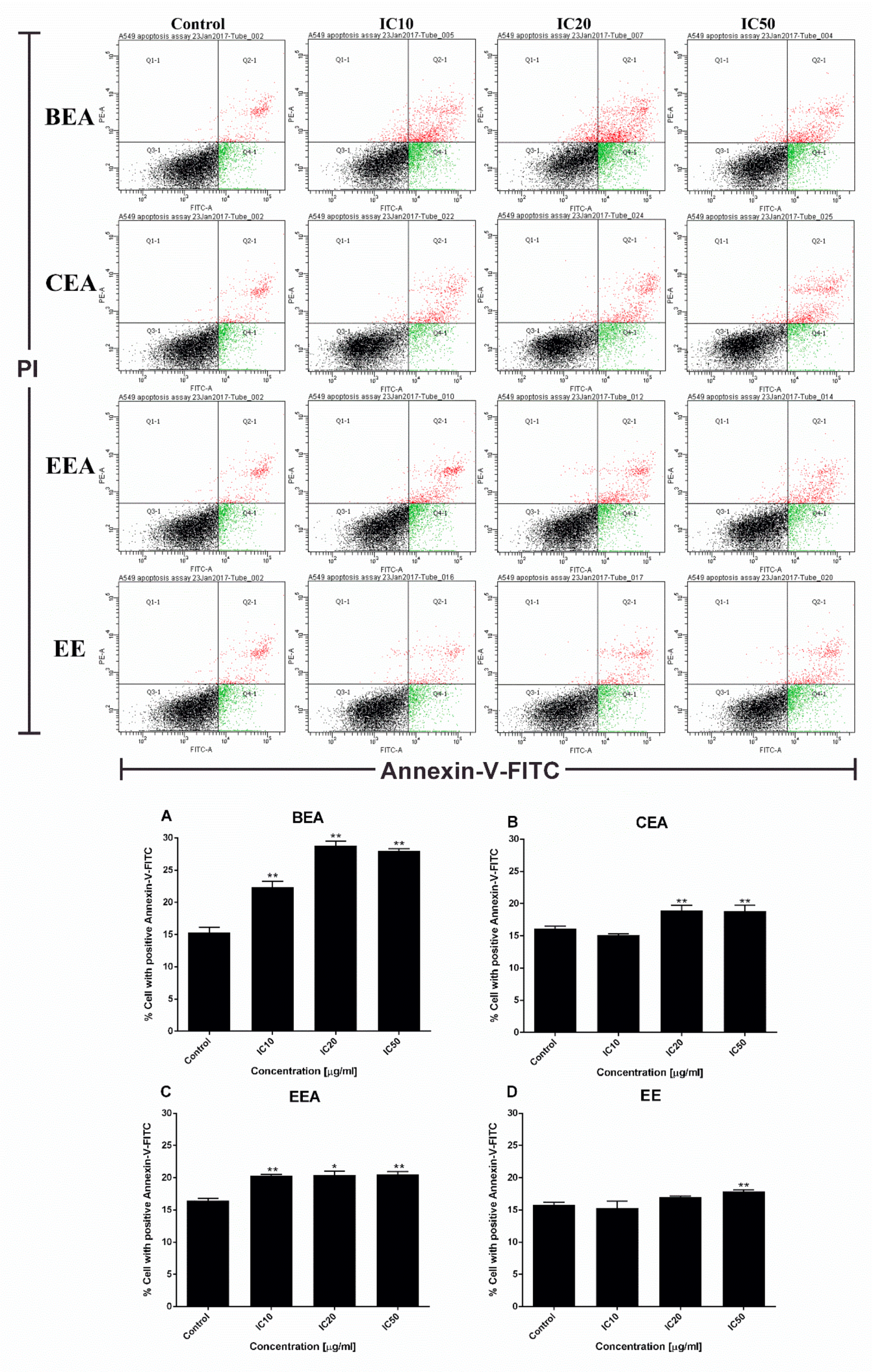 Molecules 25 00231 g006