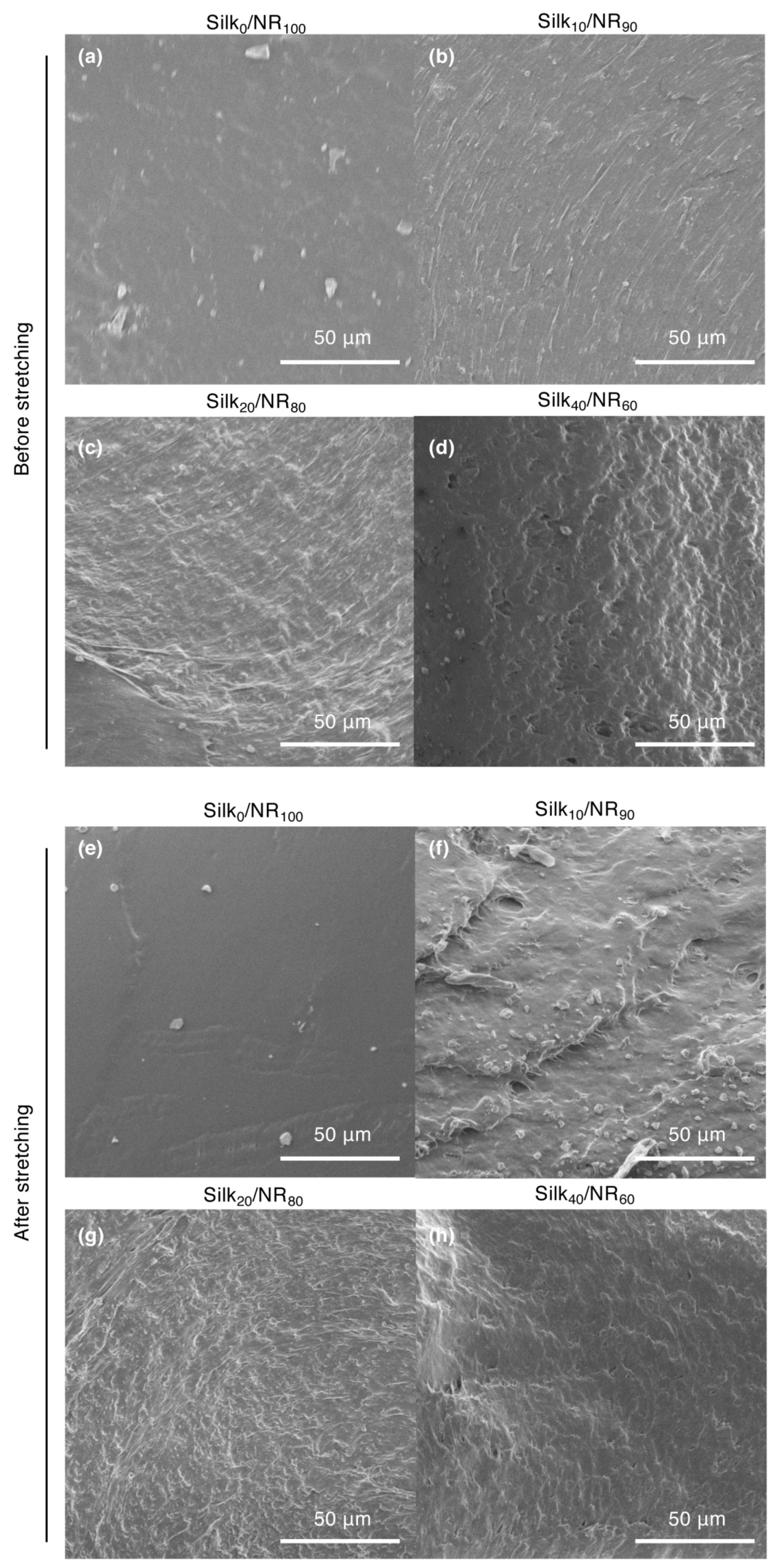 Molecules 25 00235 g005