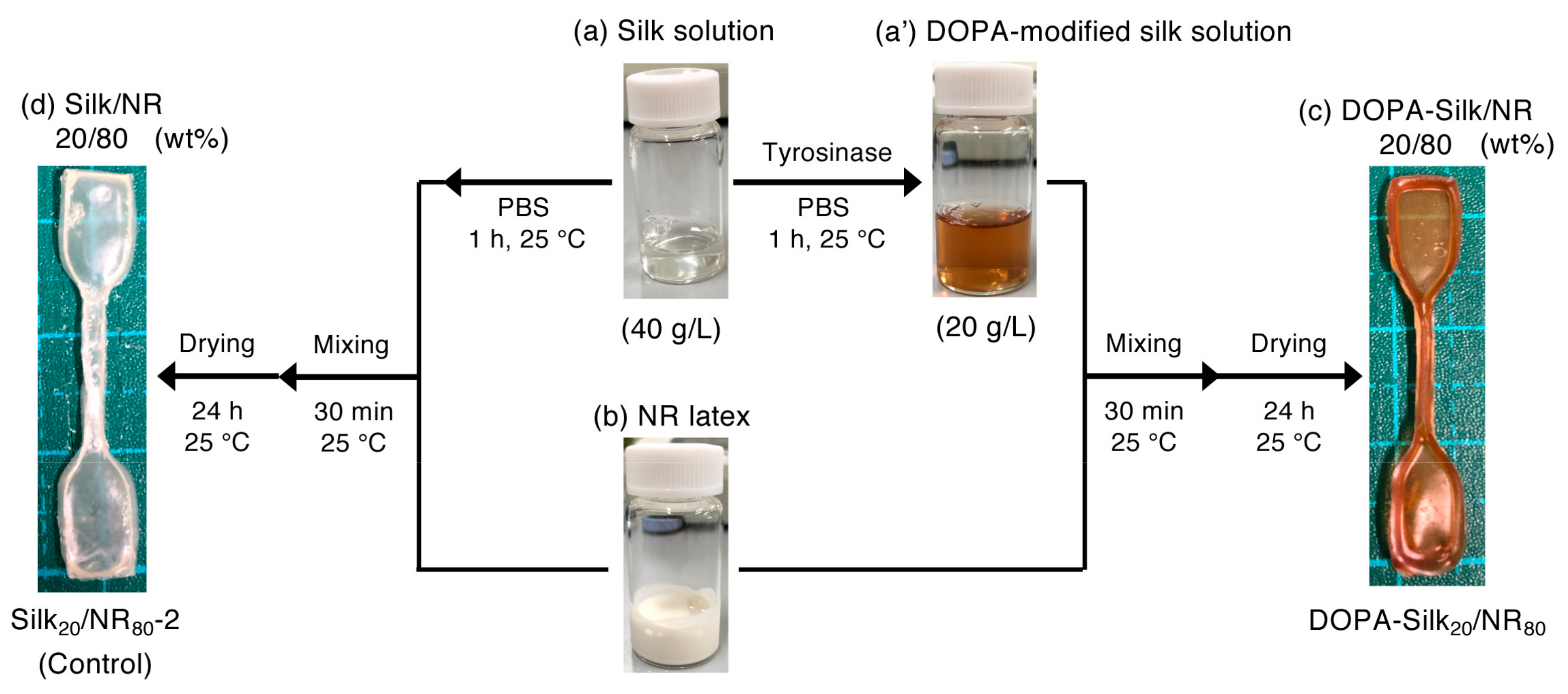 Molecules 25 00235 g008