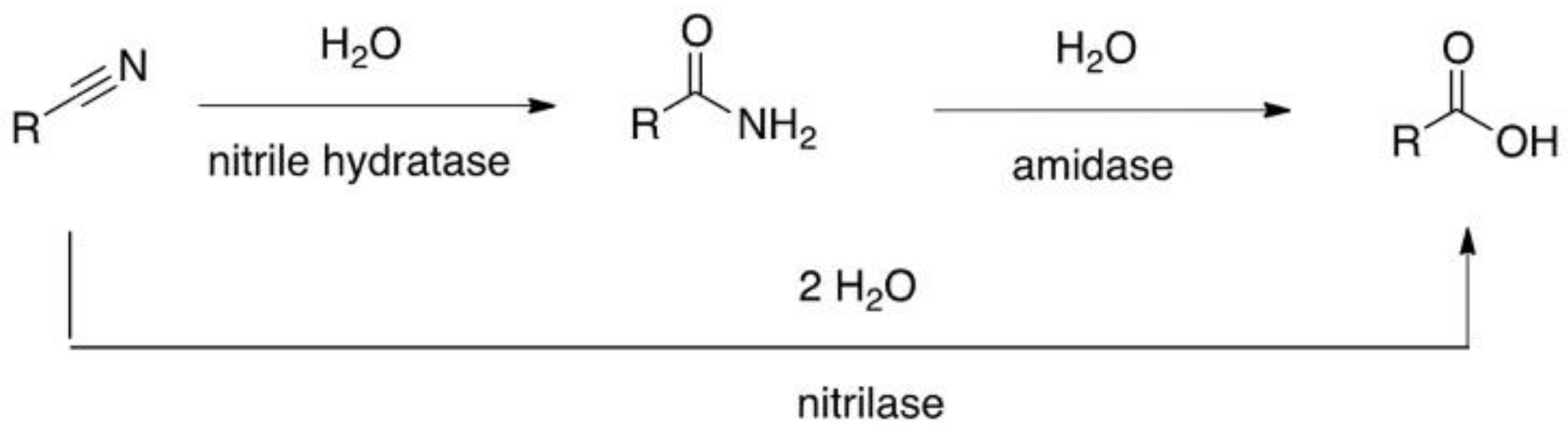 Molecules 25 00238 sch001