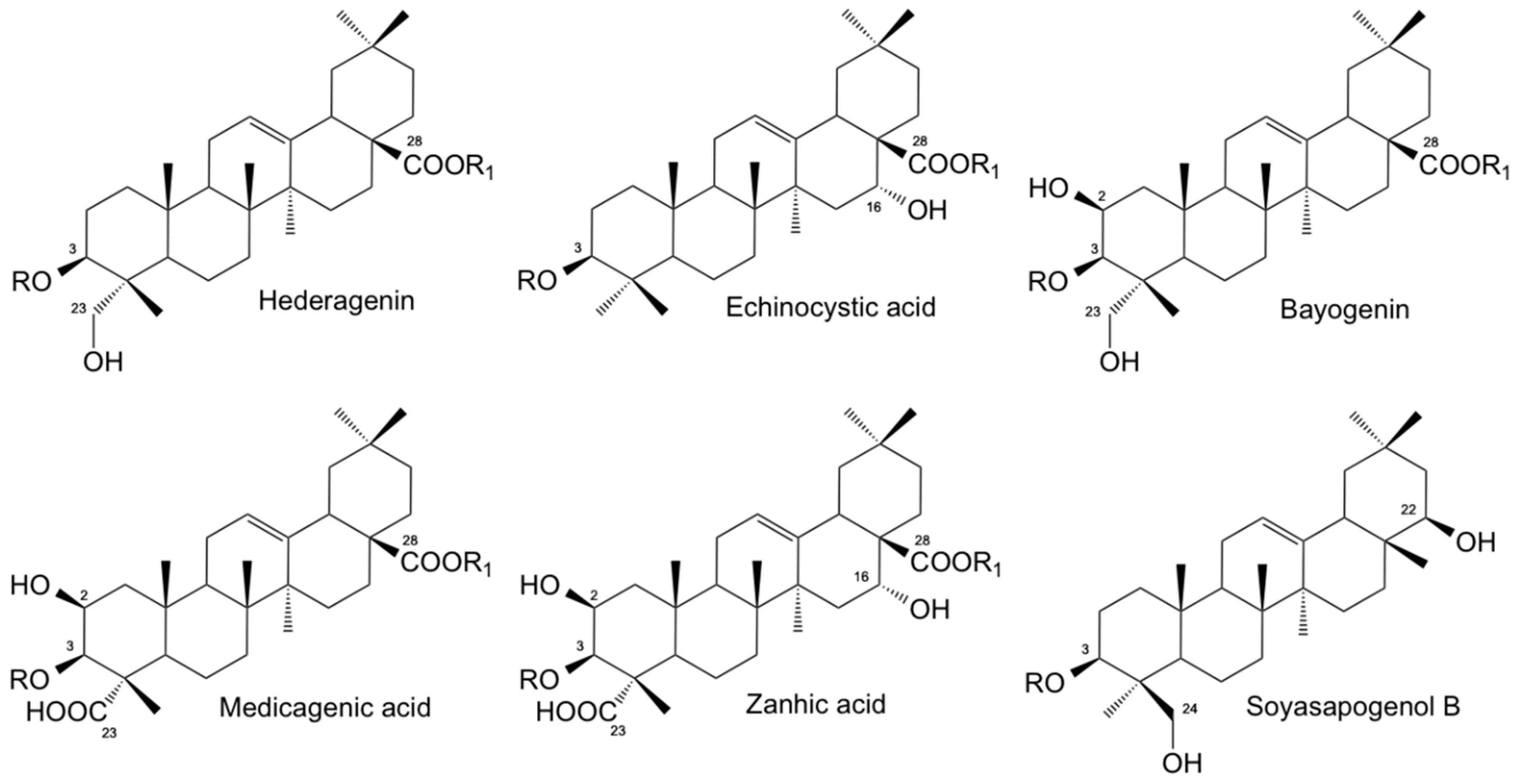 Molecules 25 00242 g001