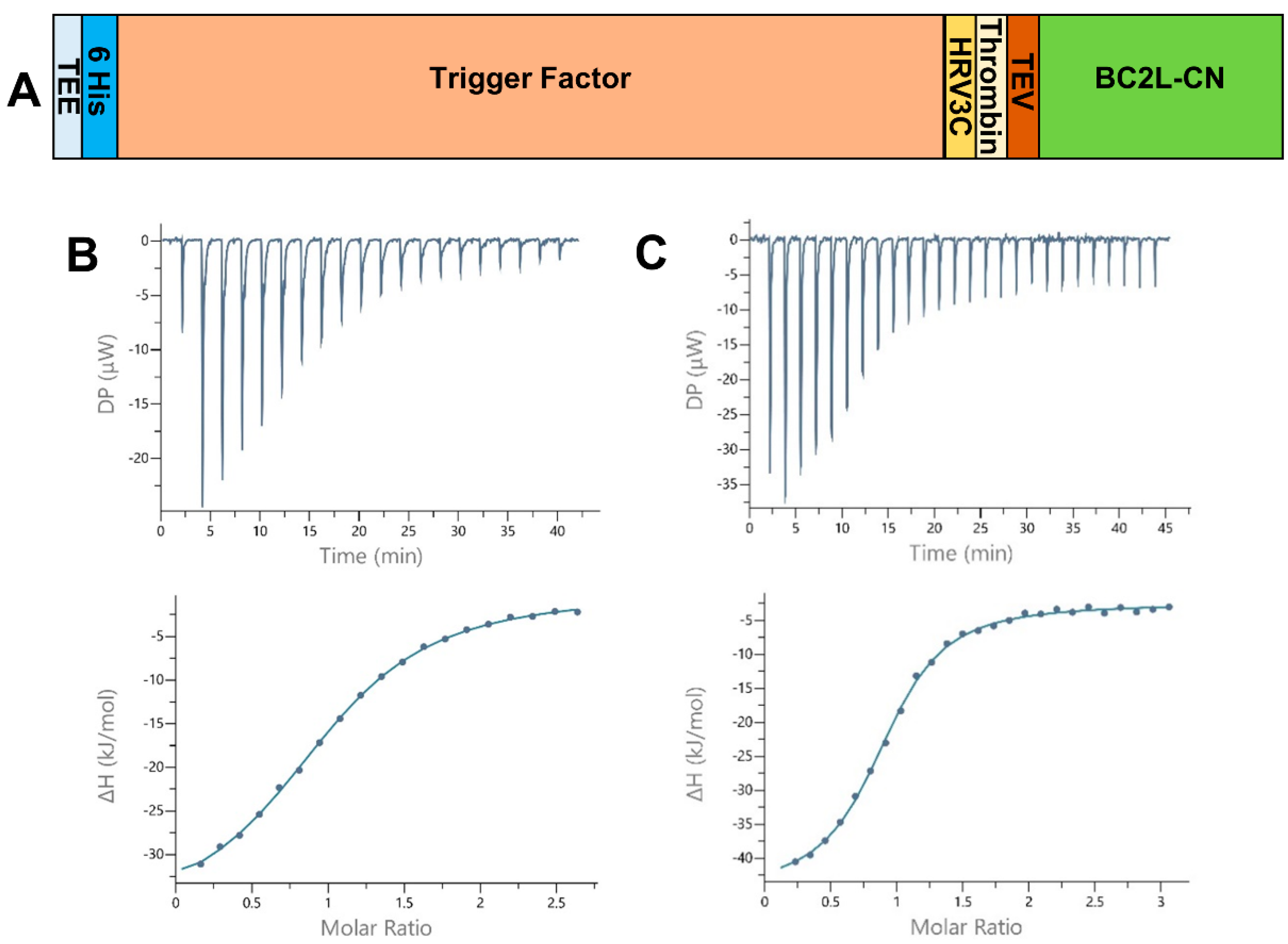 Molecules 25 00248 g001
