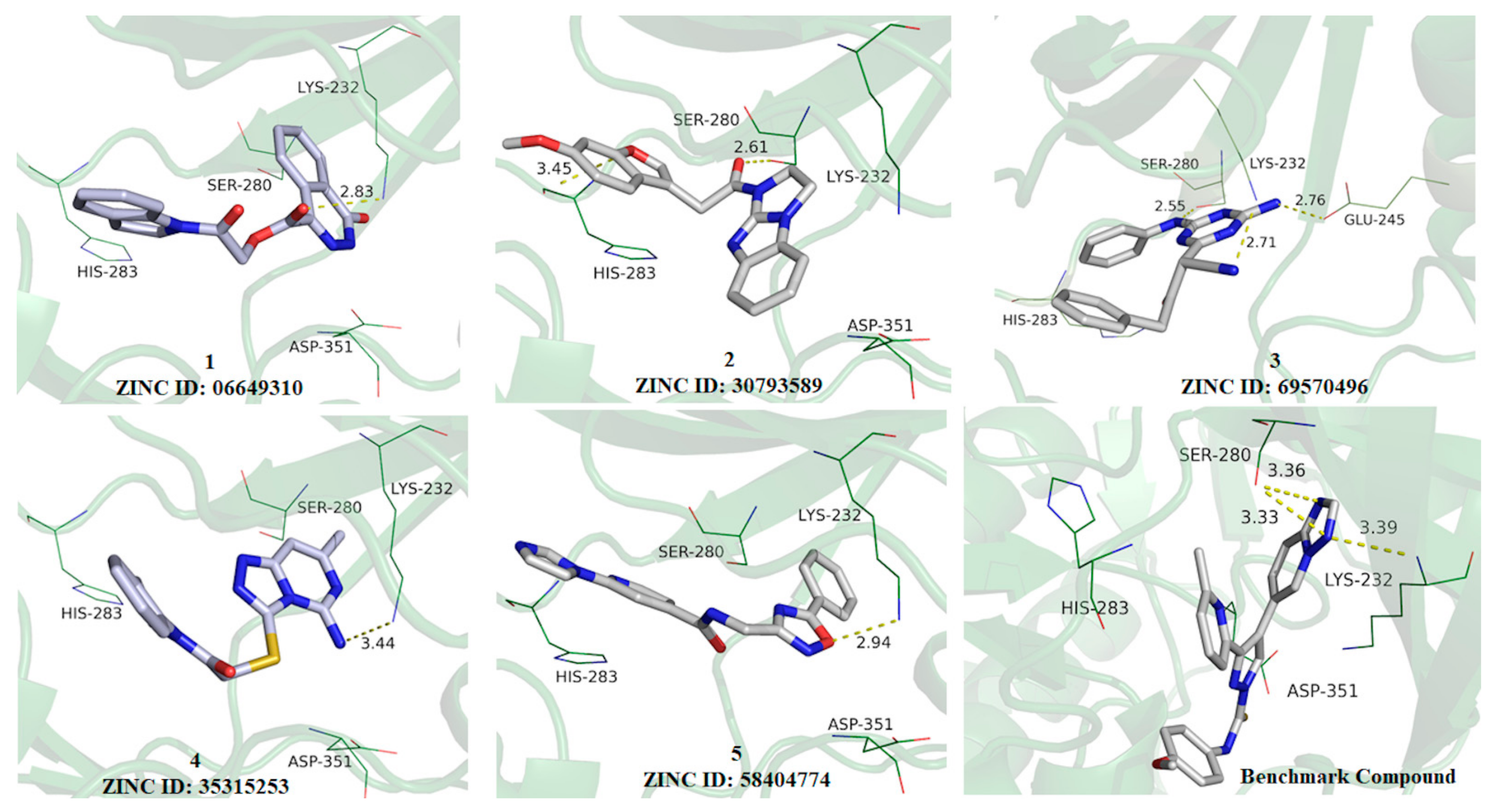 Molecules 25 00264 g004 Molecules 25 00264 g004