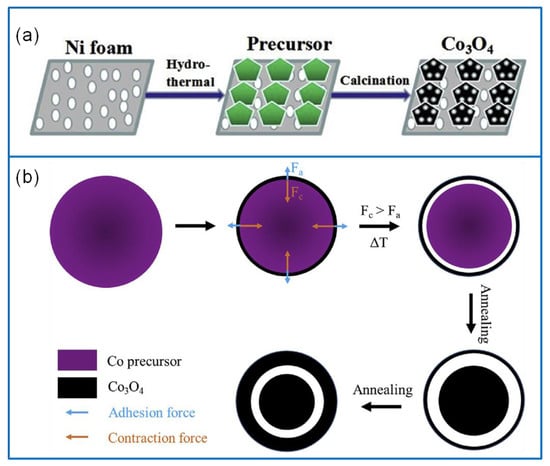 Molecules 25 00269 g002