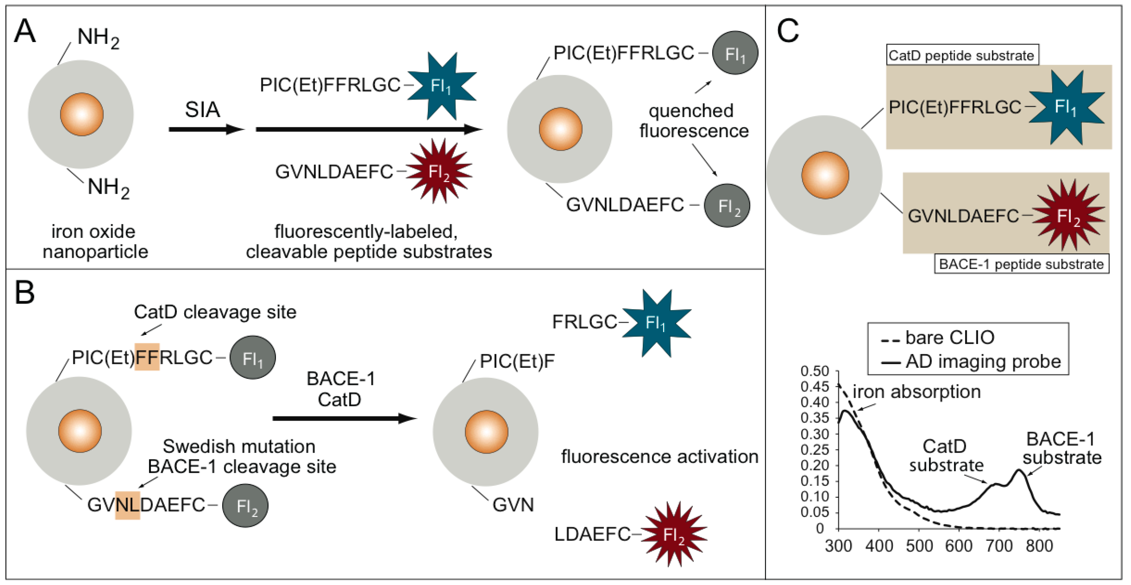 Molecules 25 00274 g001