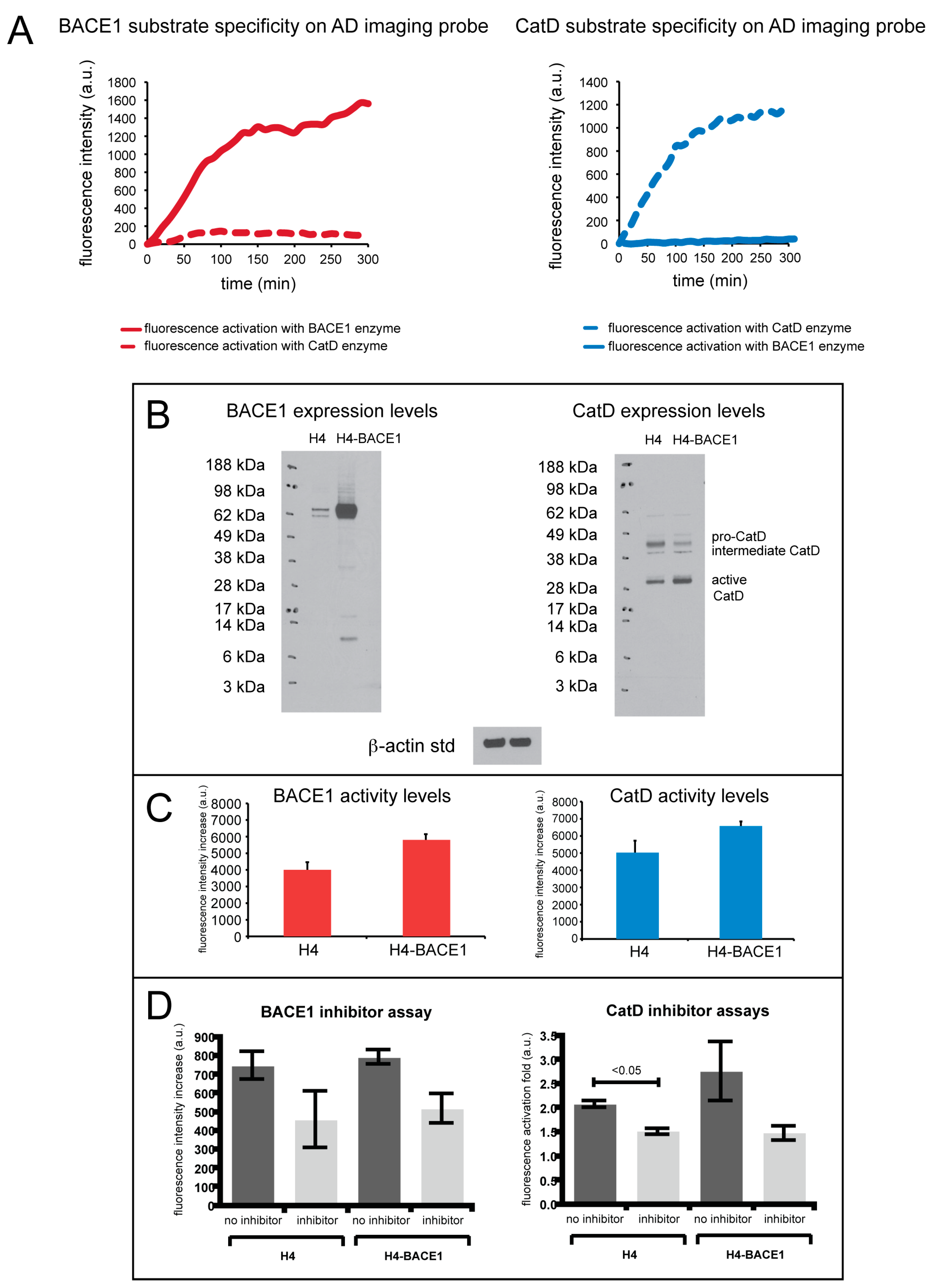 Molecules 25 00274 g002