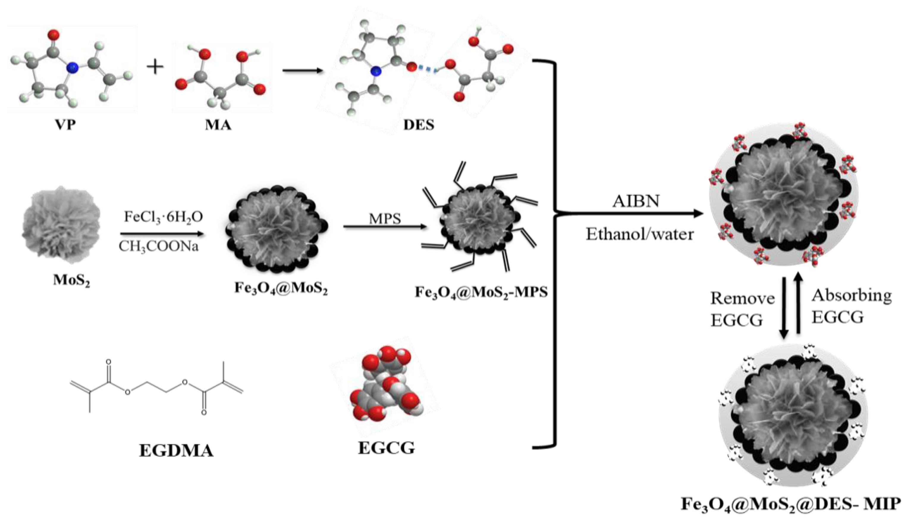 Molecules 25 00280 g007