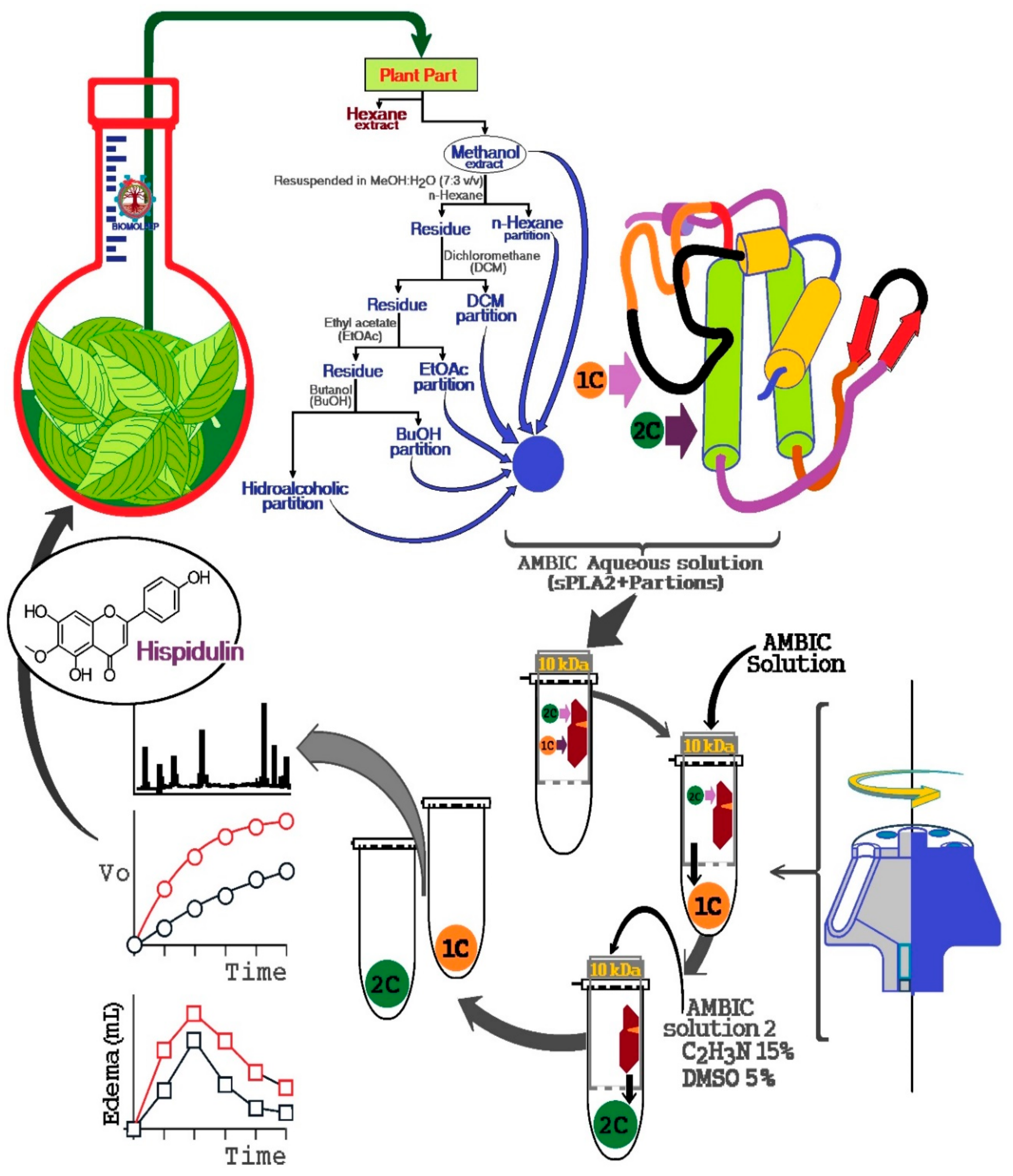 Molecules 25 00282 g009