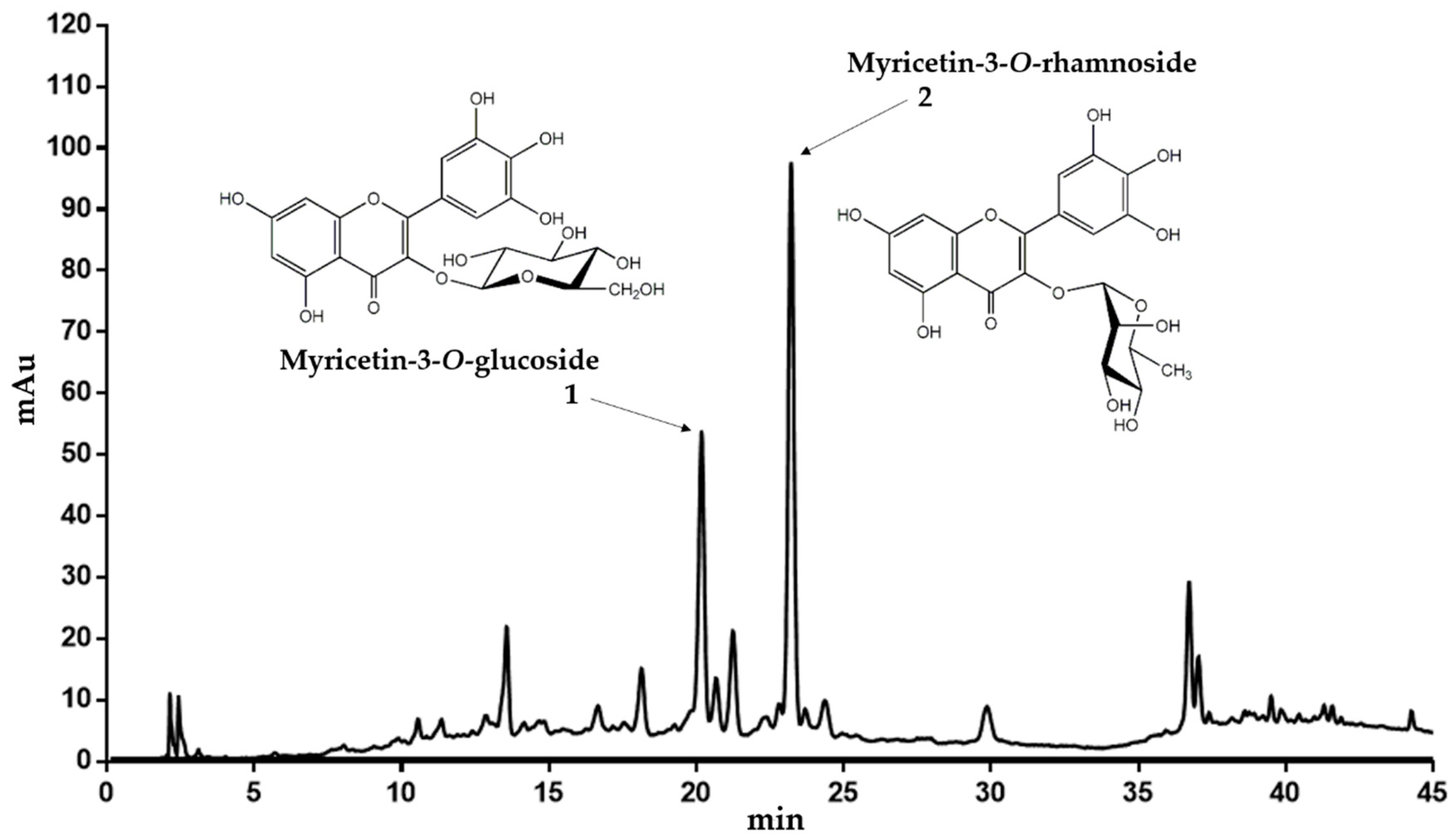 Molecules 25 00288 g001