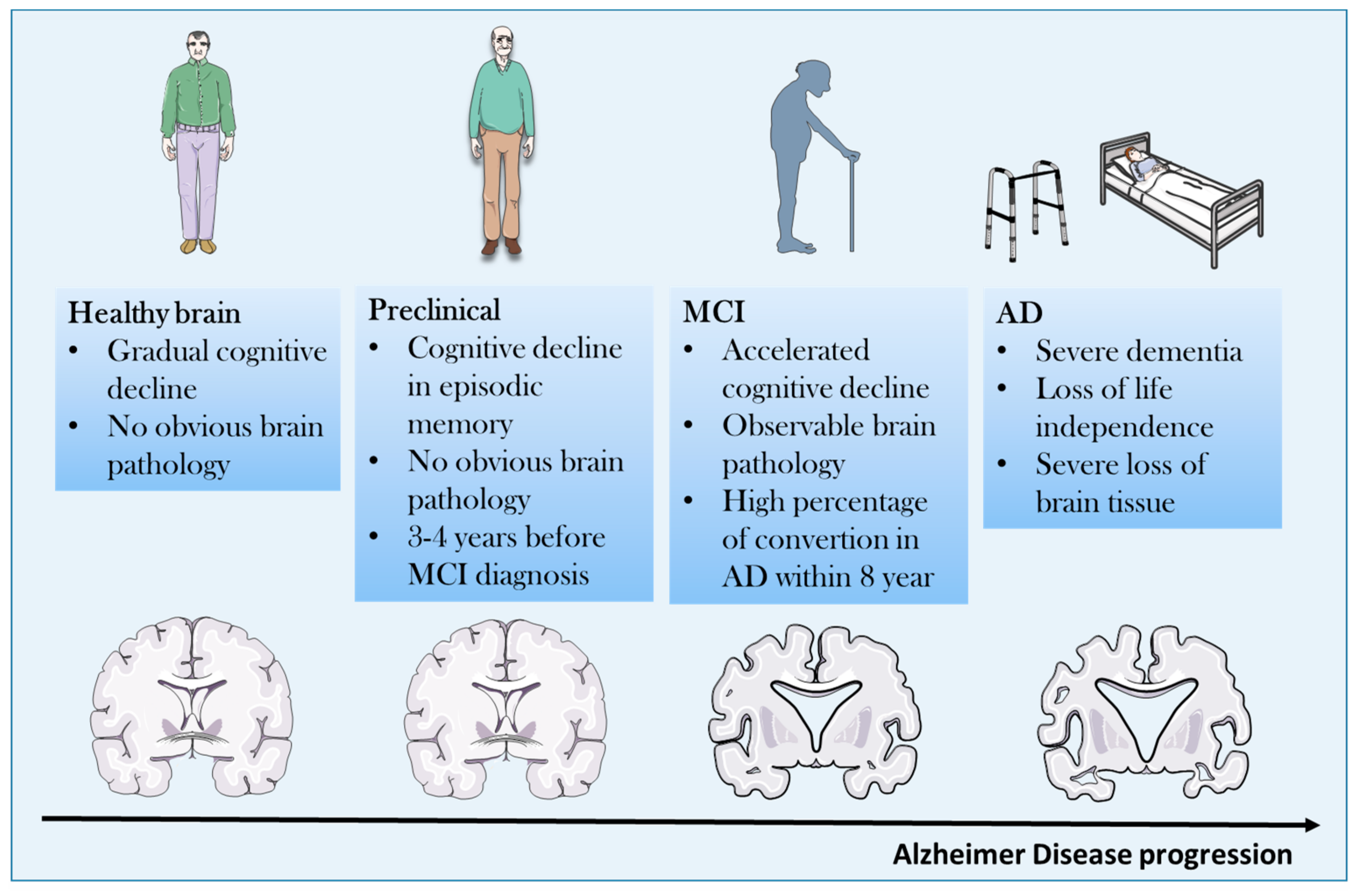 Molecules 25 00291 g001