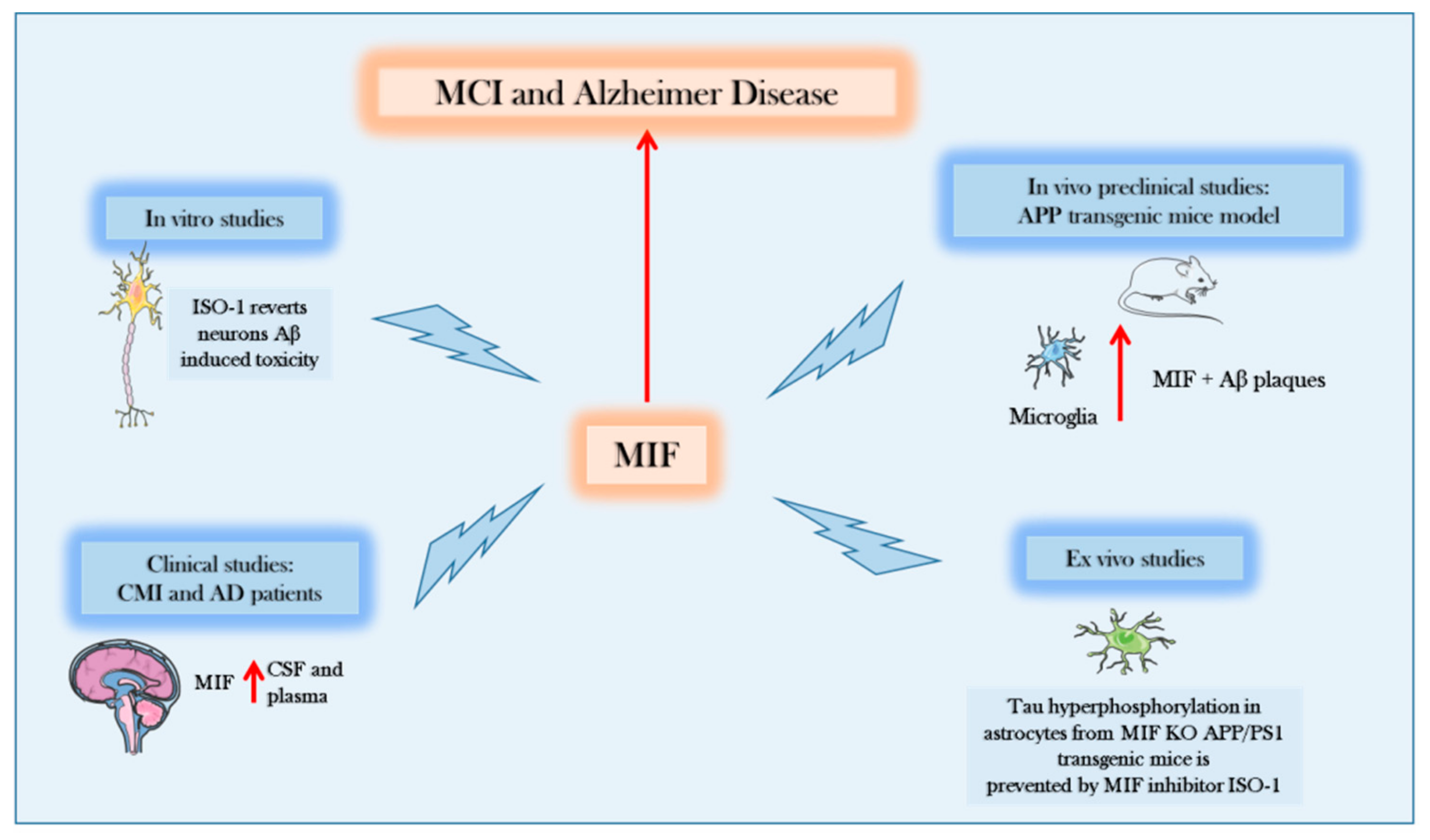 Molecules 25 00291 g002