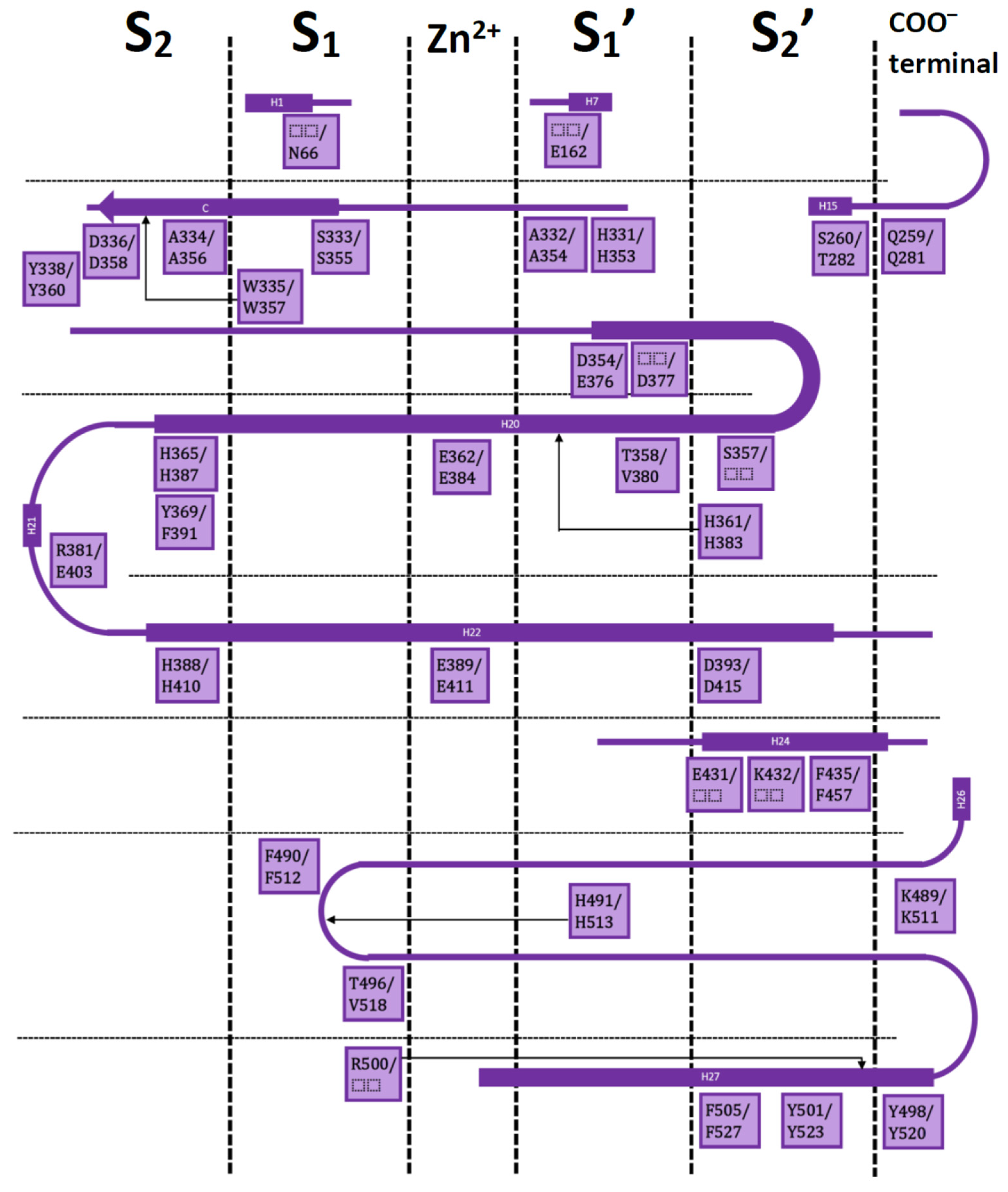 Molecules 25 00295 g001